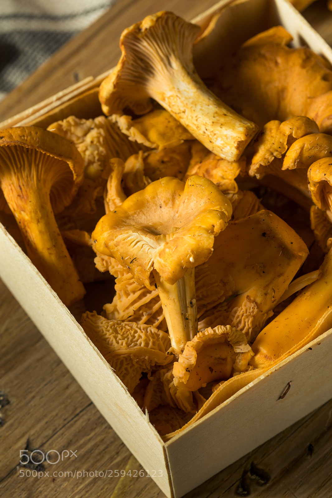 Canon EOS 5D Mark IV sample photo. Raw orange organic chanterelle photography