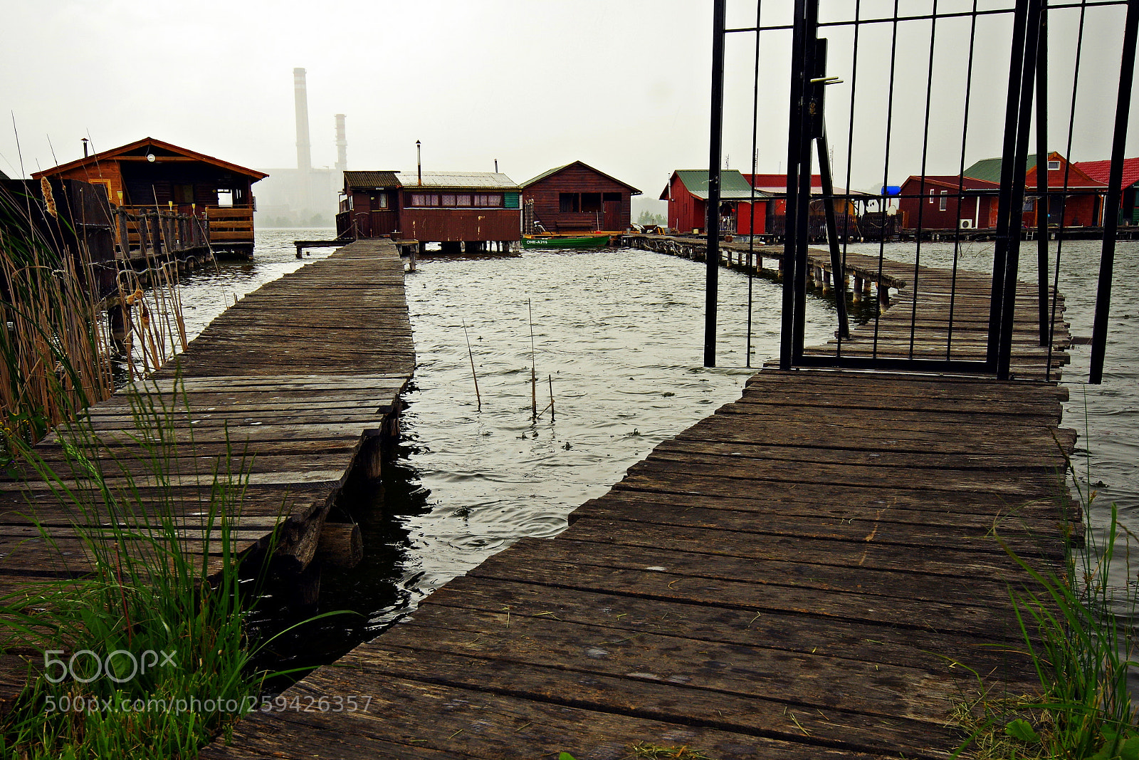 Pentax K-3 sample photo. Rain begin photography