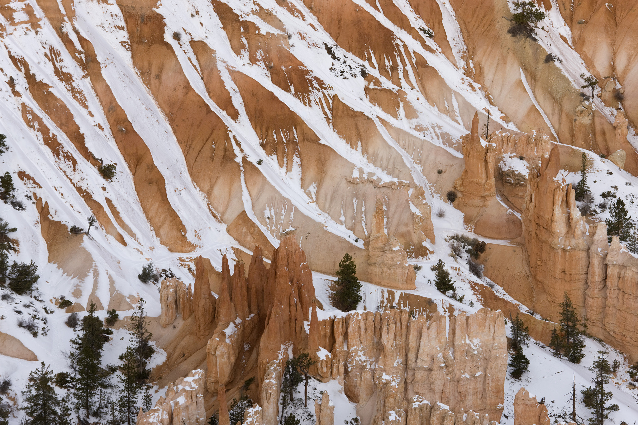 Canon EOS-1Ds Mark III sample photo. Bryce point, bryce canyon photography
