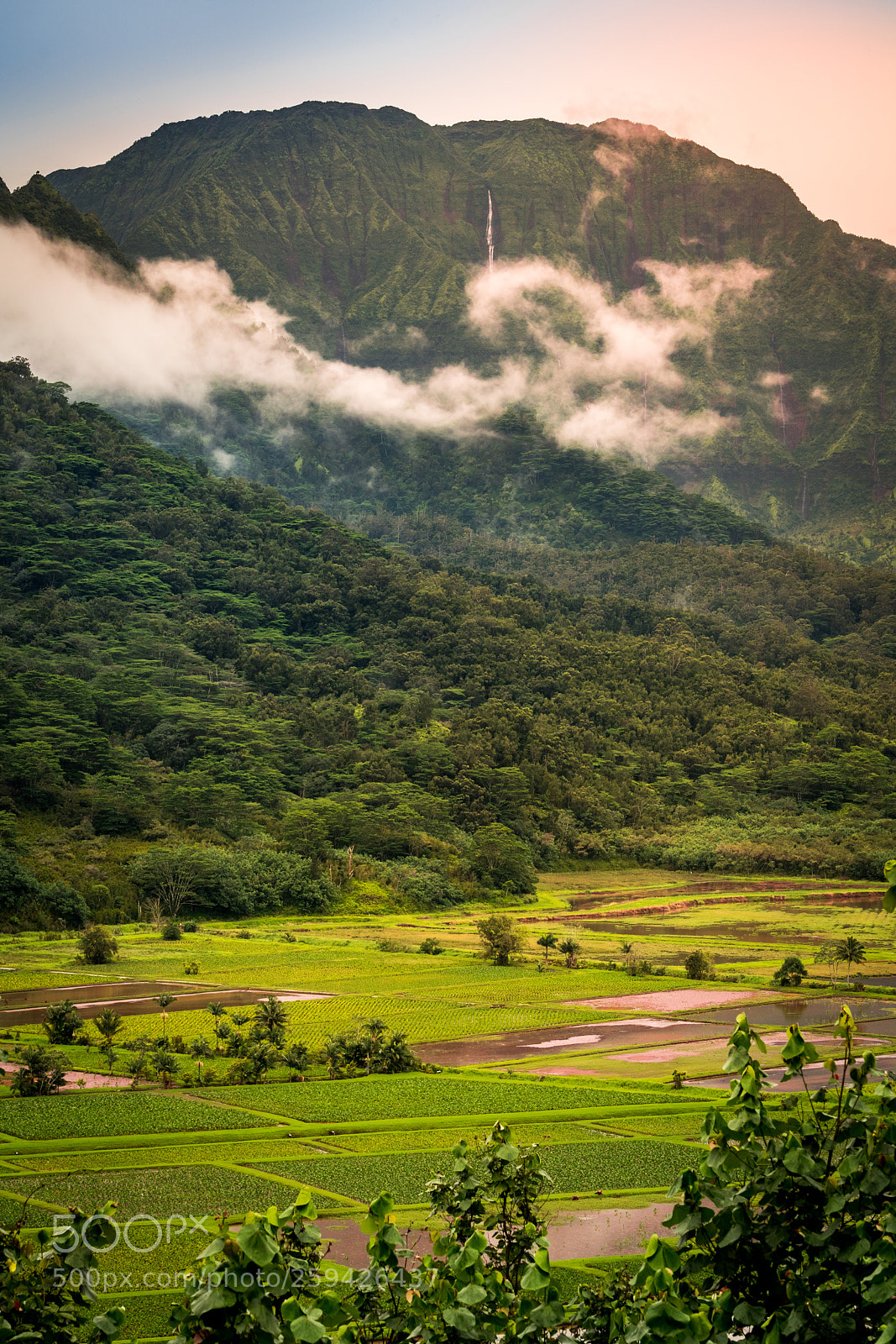 Sony a7R III sample photo. Hanalei sunset photography