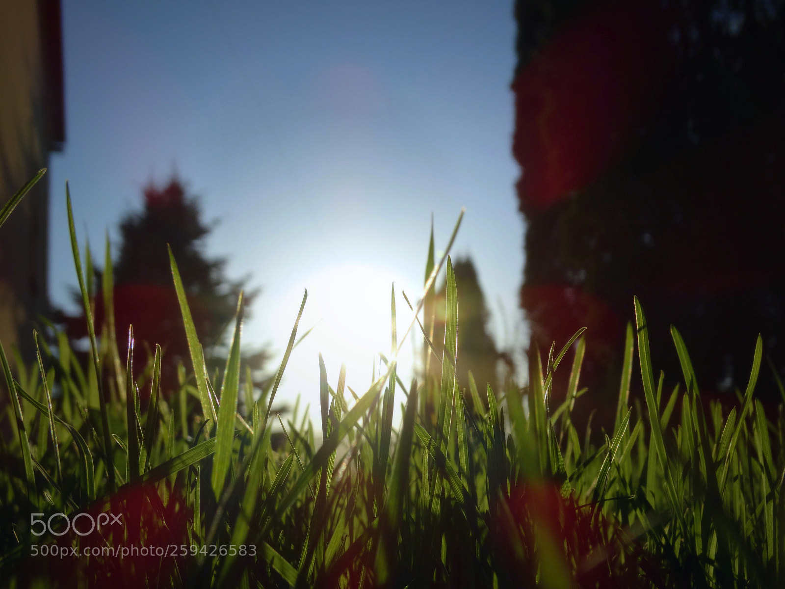 Sony Cyber-shot DSC-HX300 sample photo. Springtime photography