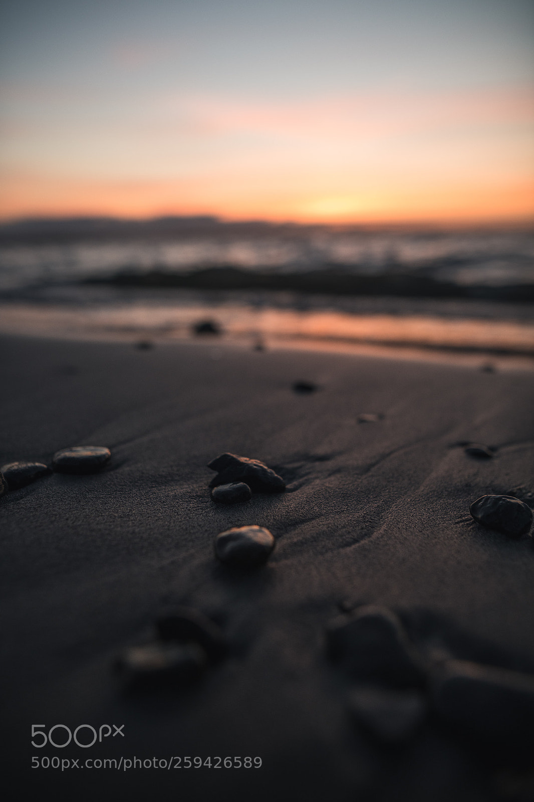 Nikon D850 sample photo. Alki photography