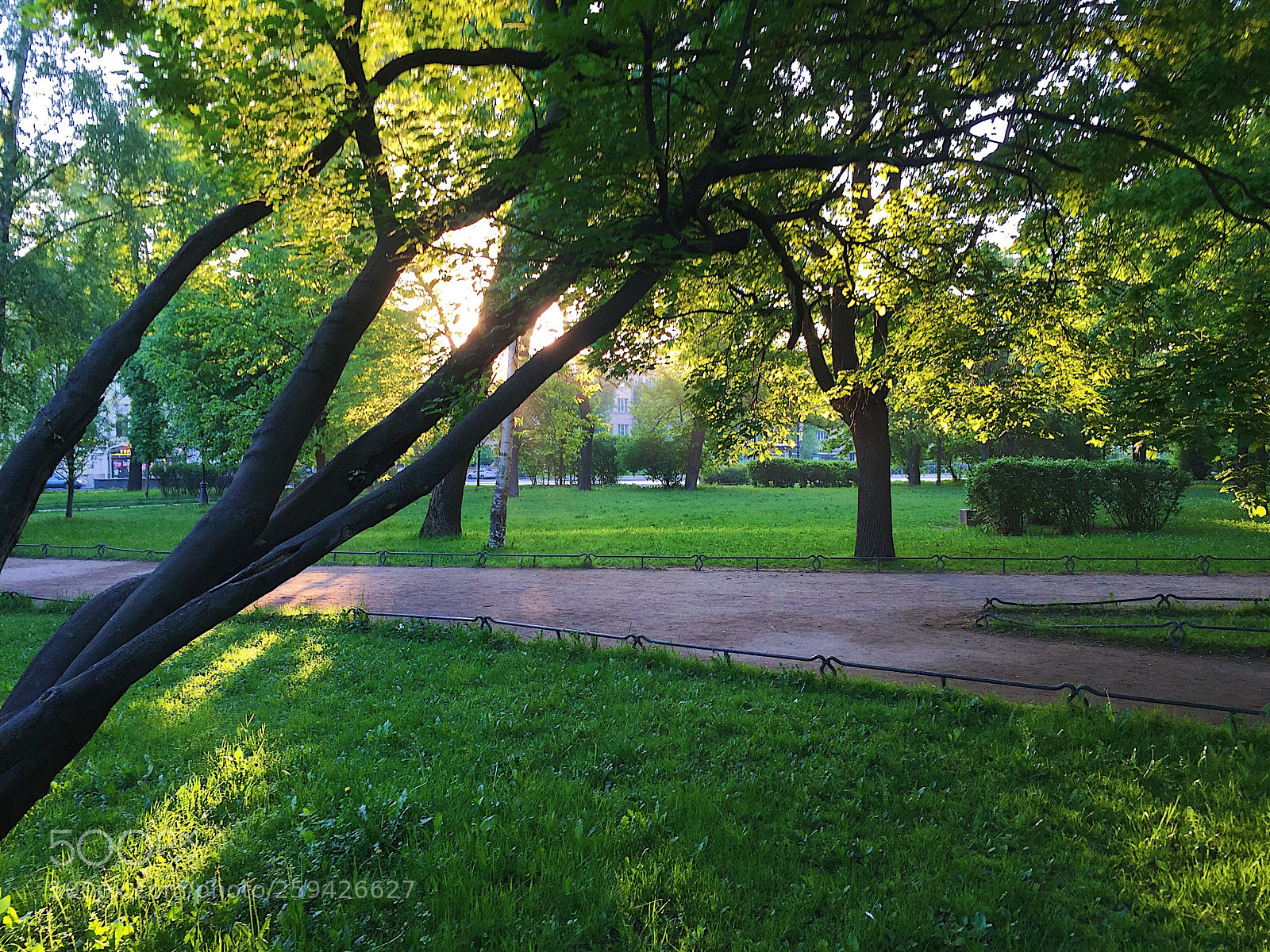 Apple iPhone 6 sample photo. Morning.  photography
