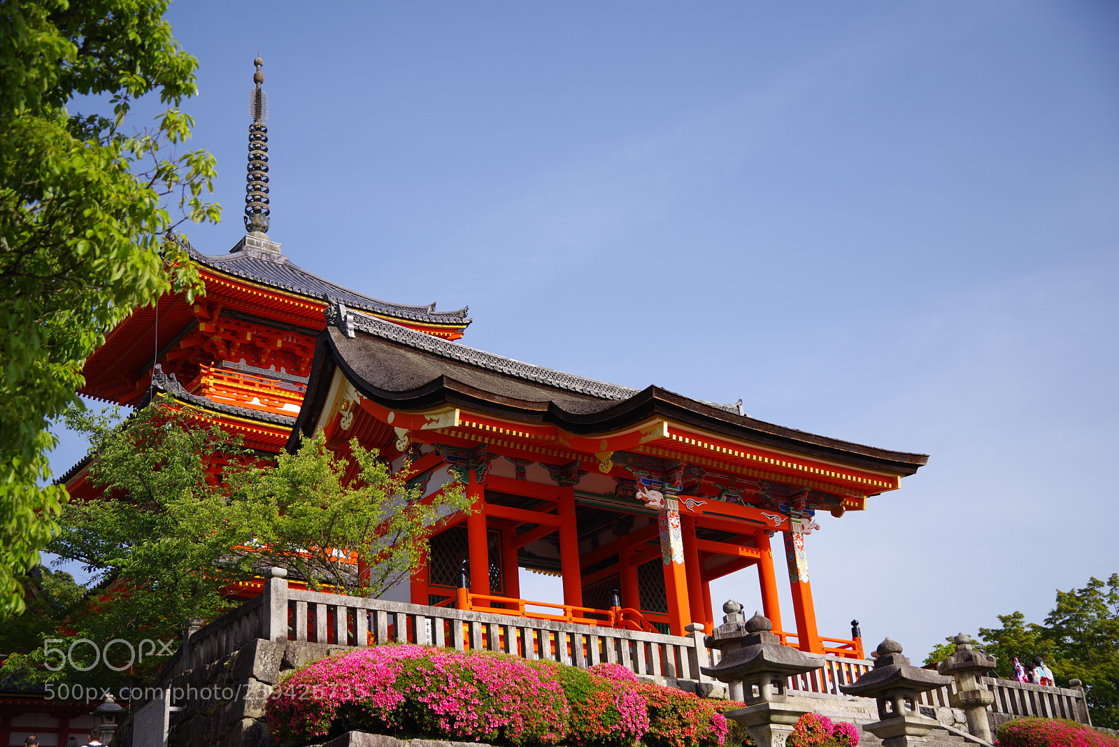Pentax K-1 sample photo. Untitled photography