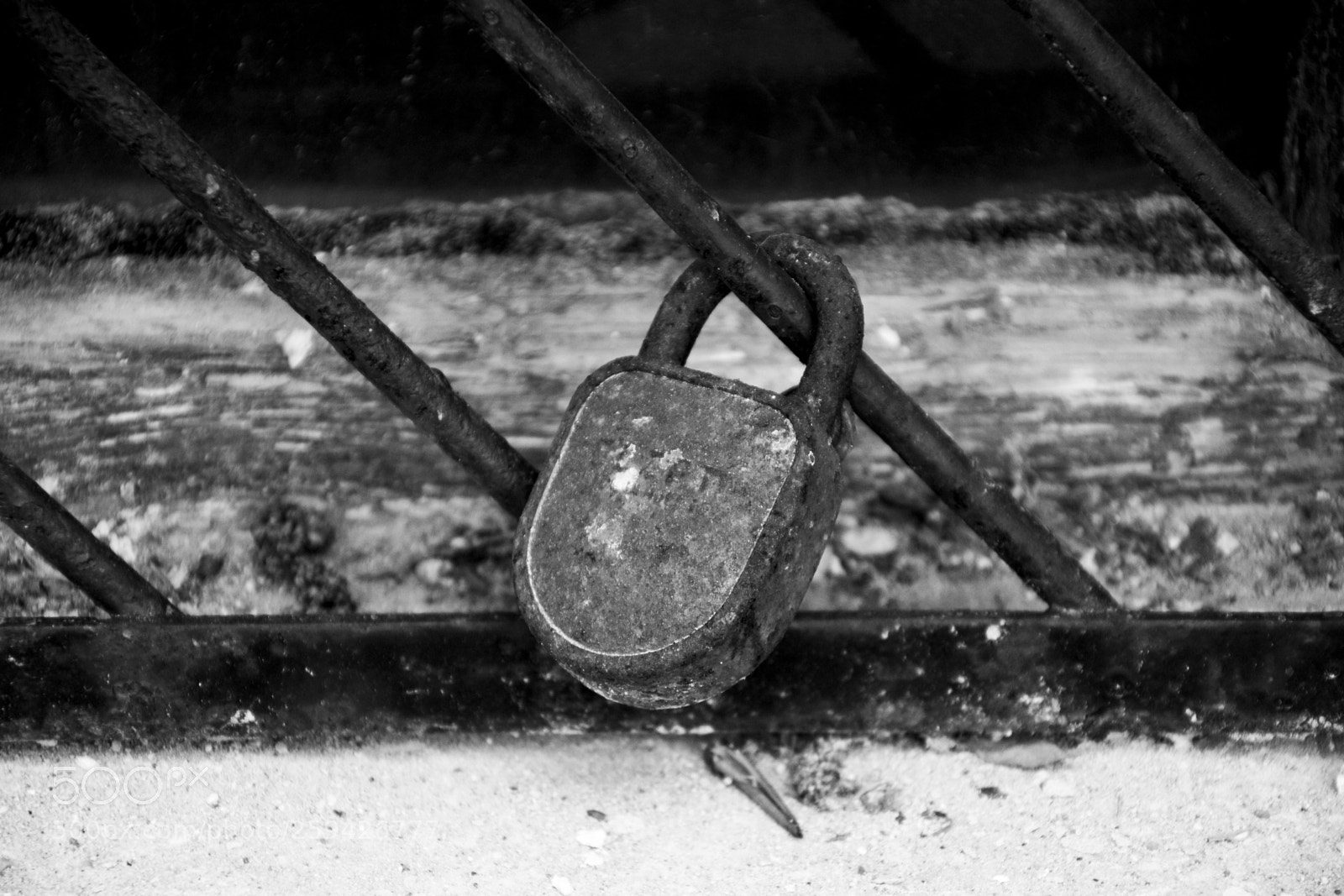 Nikon D3100 sample photo. Untitled photography