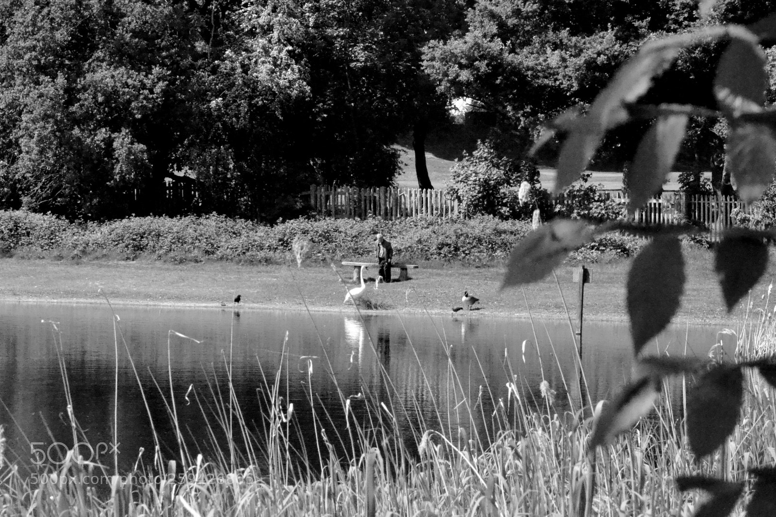 Nikon D3100 sample photo. Untitled photography