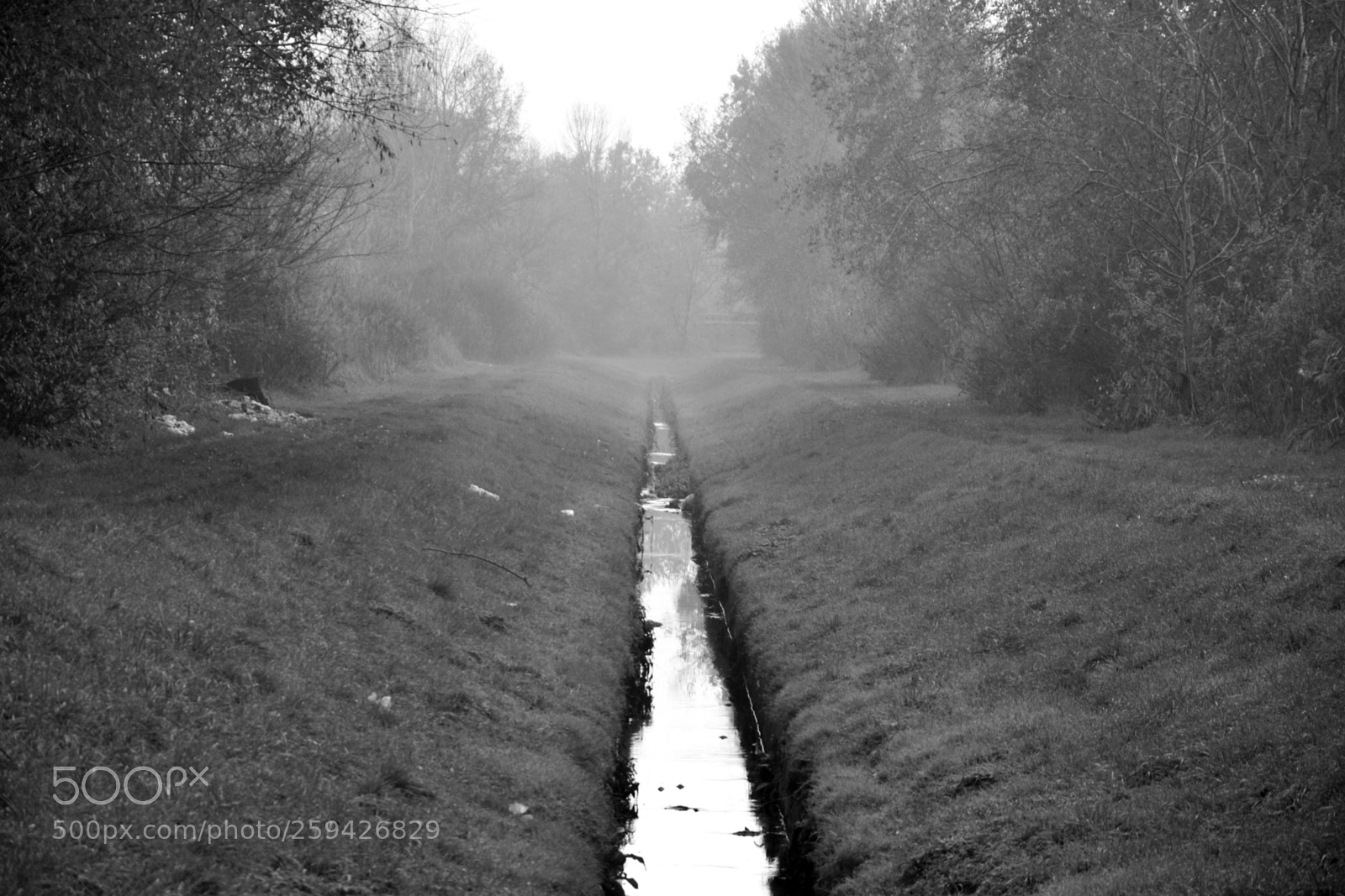 Nikon D3100 sample photo. Untitled photography