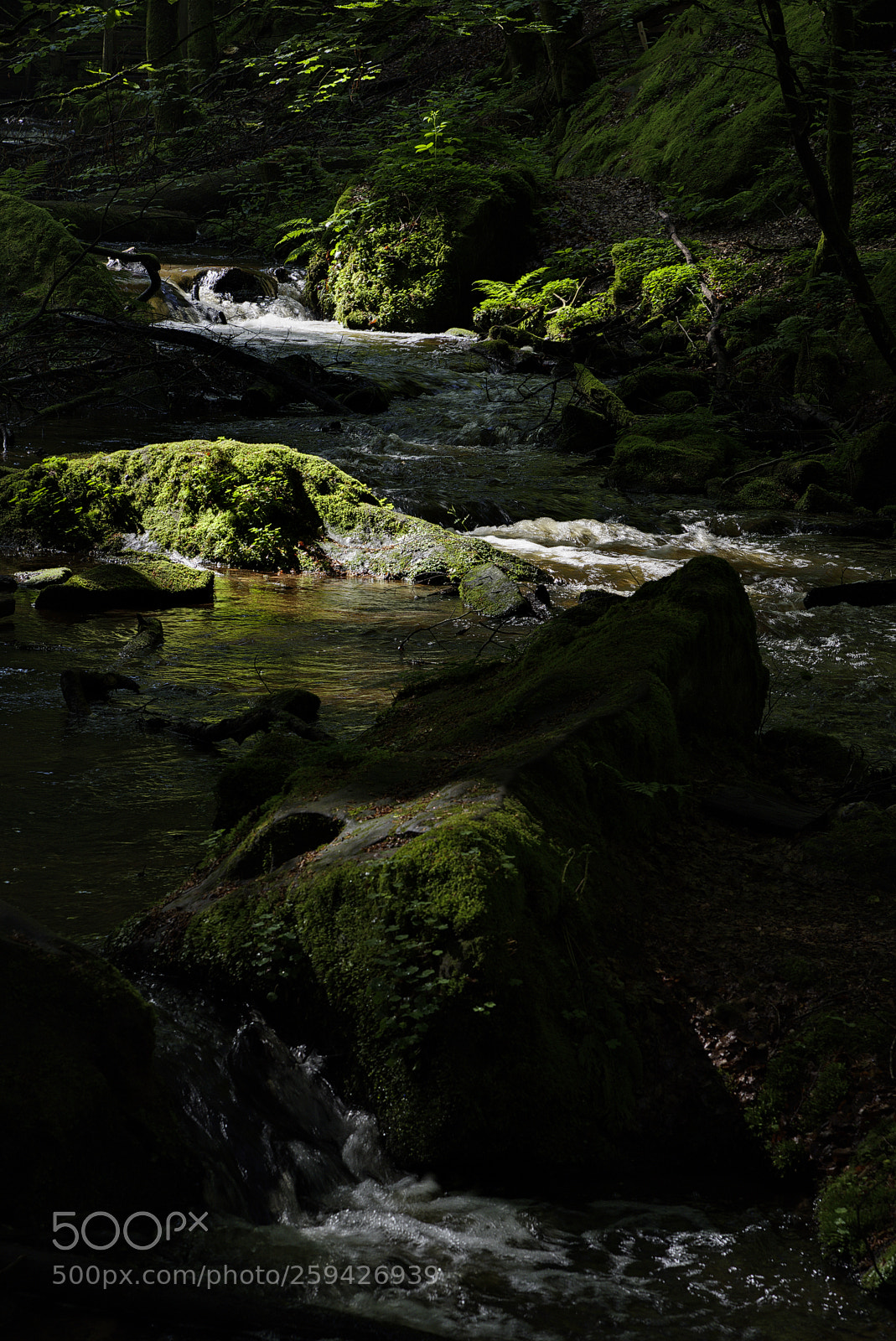 Nikon D750 sample photo. Creek38 photography