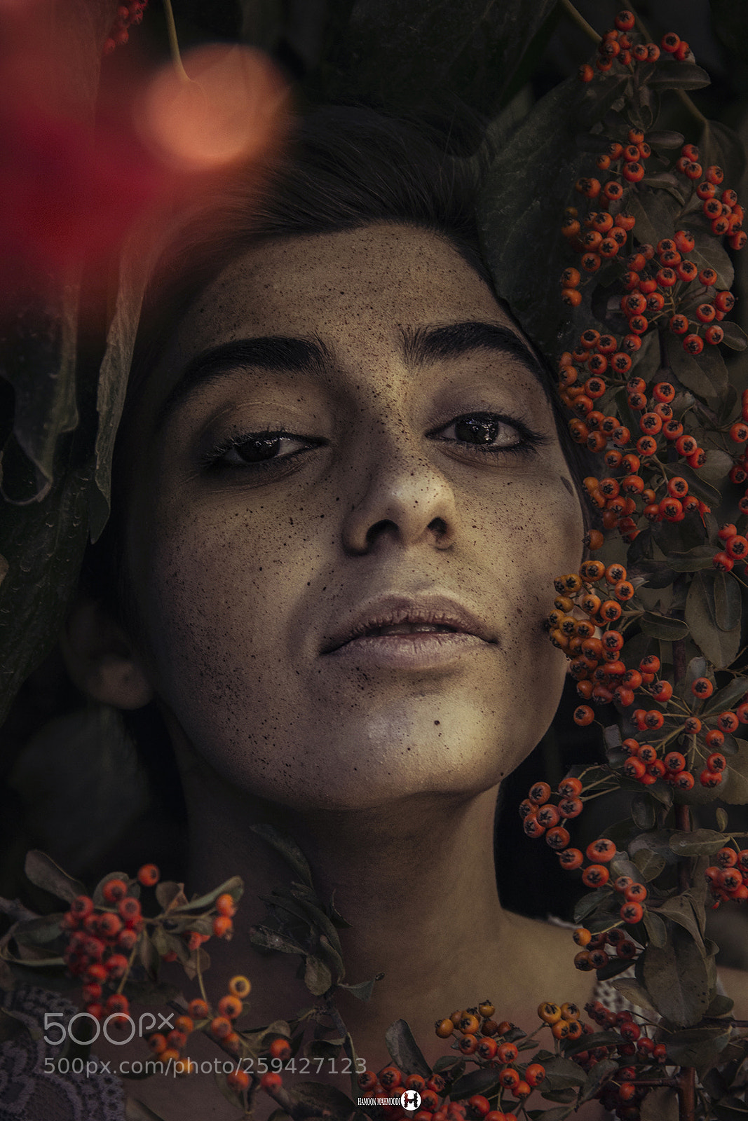 Canon EOS 60D sample photo. Parniyan photography