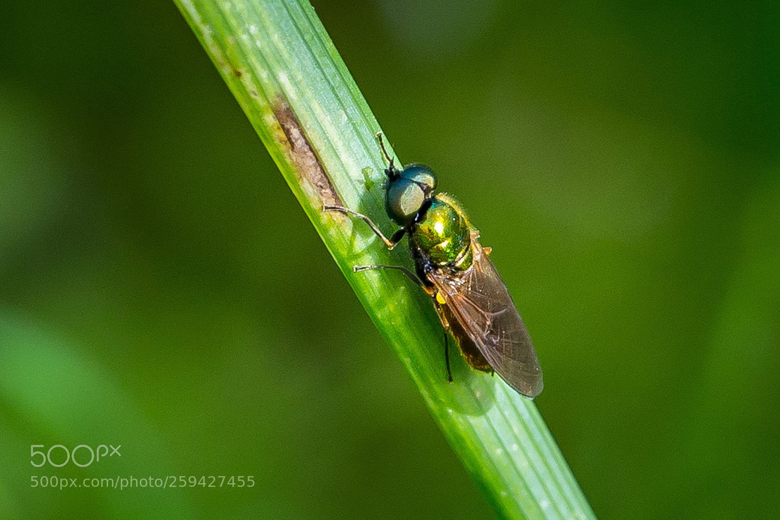 Canon EOS 6D sample photo. Untitled photography