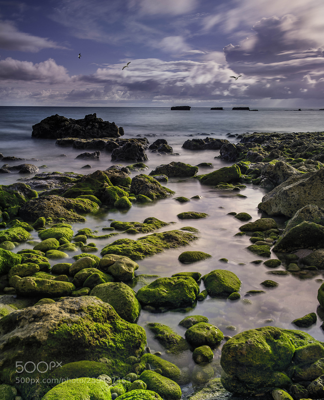 Nikon D850 sample photo. Praia de louren o photography