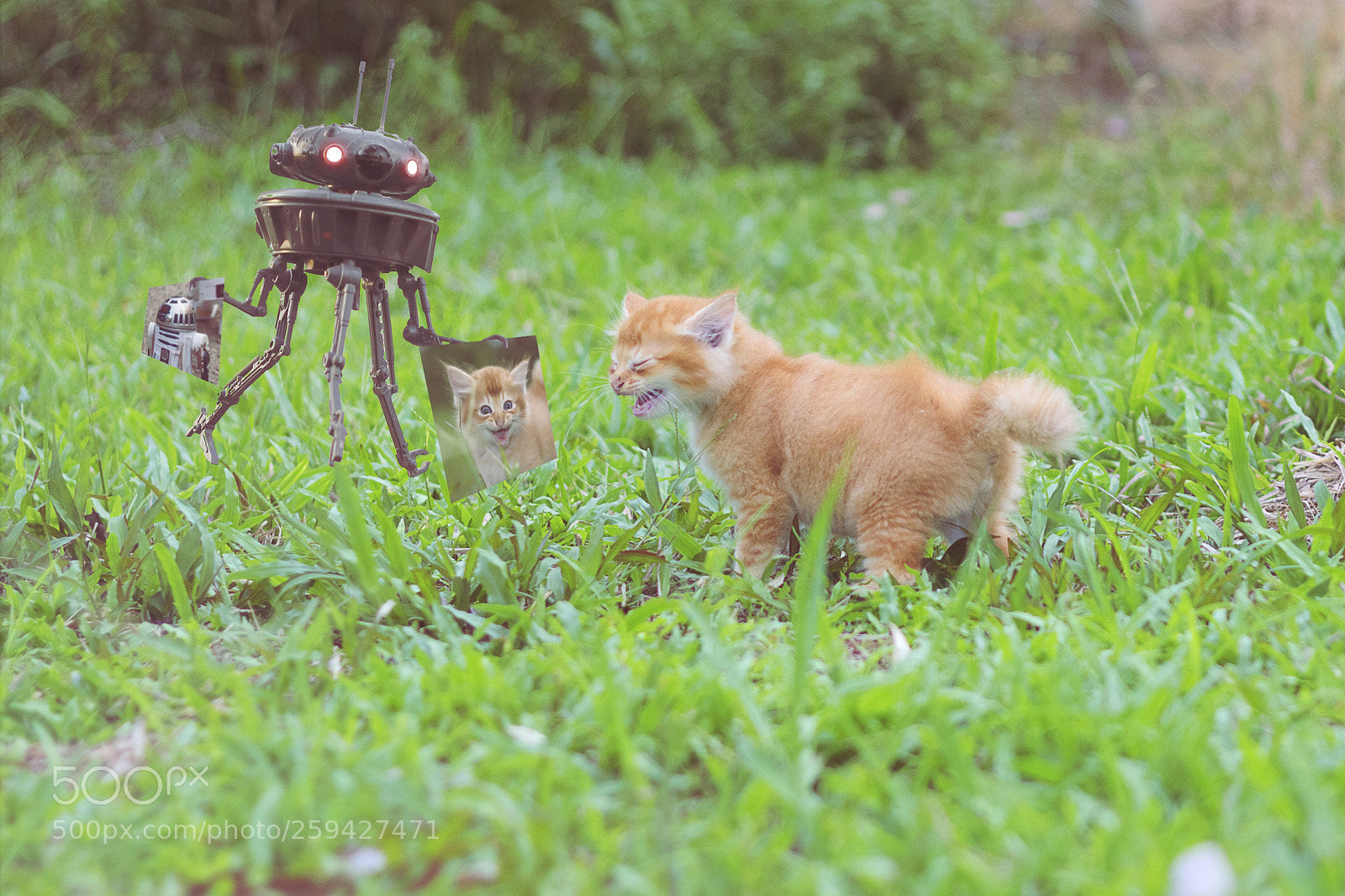 Canon EOS 60D sample photo. Say cheese photography