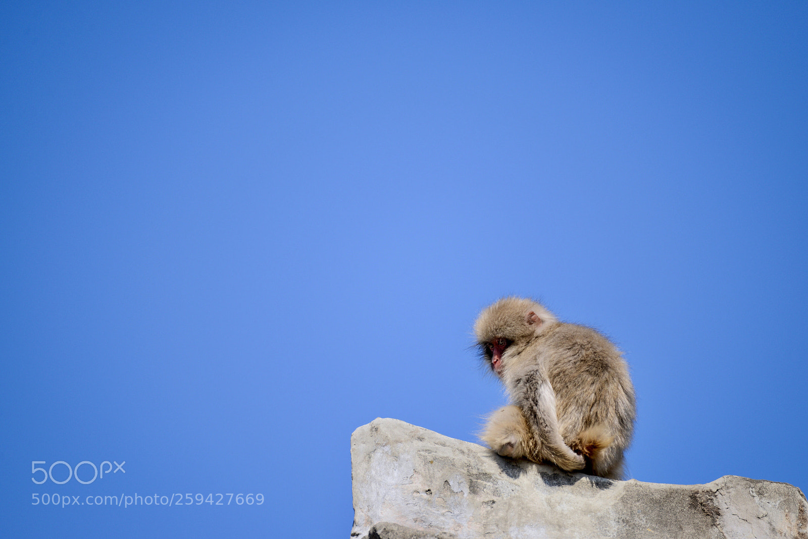 Nikon D600 sample photo. Blue sky photography