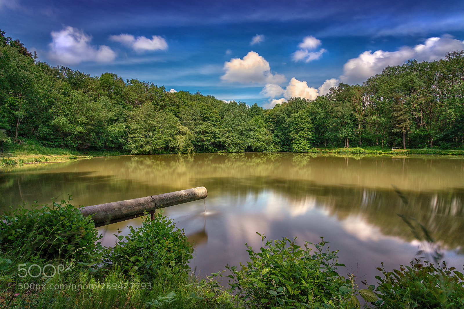 Sony a7R III sample photo. Pond photography