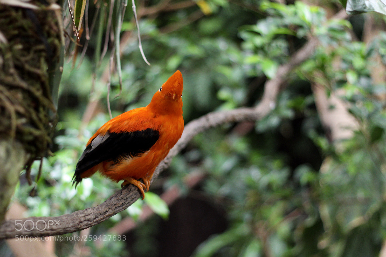 Canon EOS 700D (EOS Rebel T5i / EOS Kiss X7i) sample photo. Untitled photography