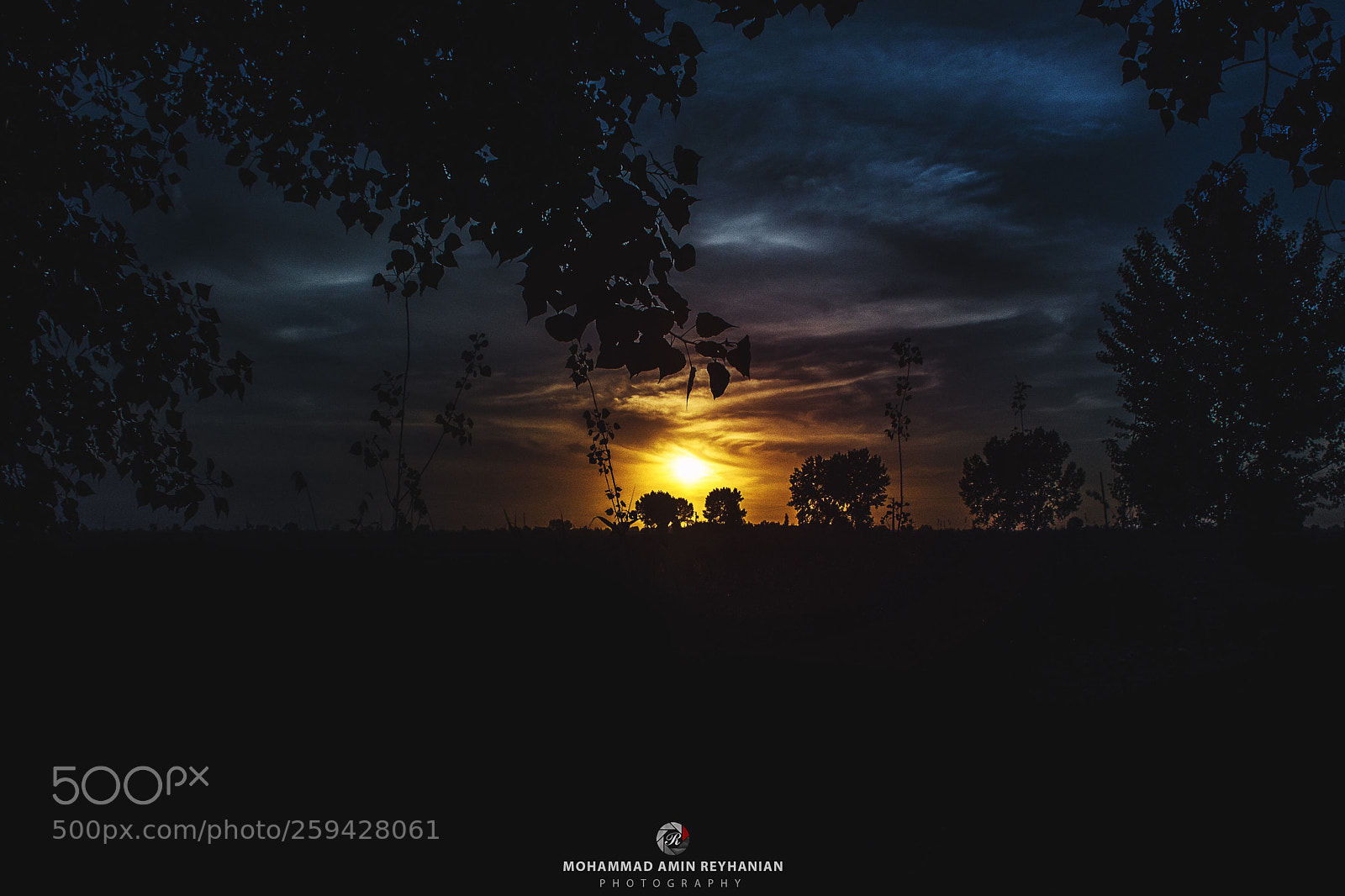 Nikon D7200 sample photo. The last sunset photography