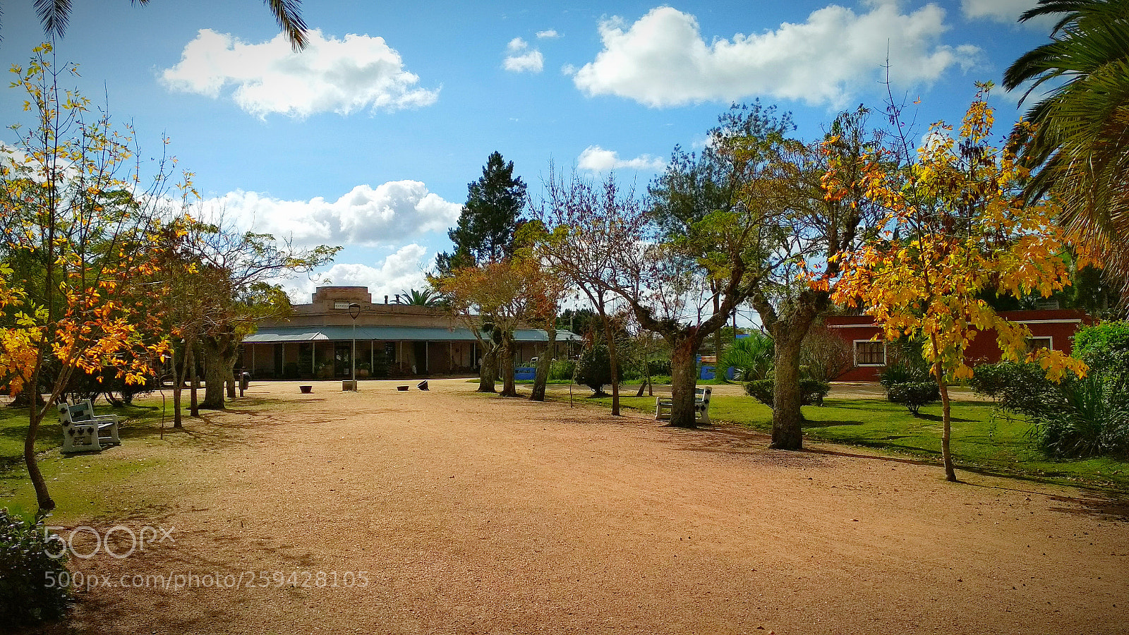 Xiaomi Redmi 4X sample photo. Untitled photography
