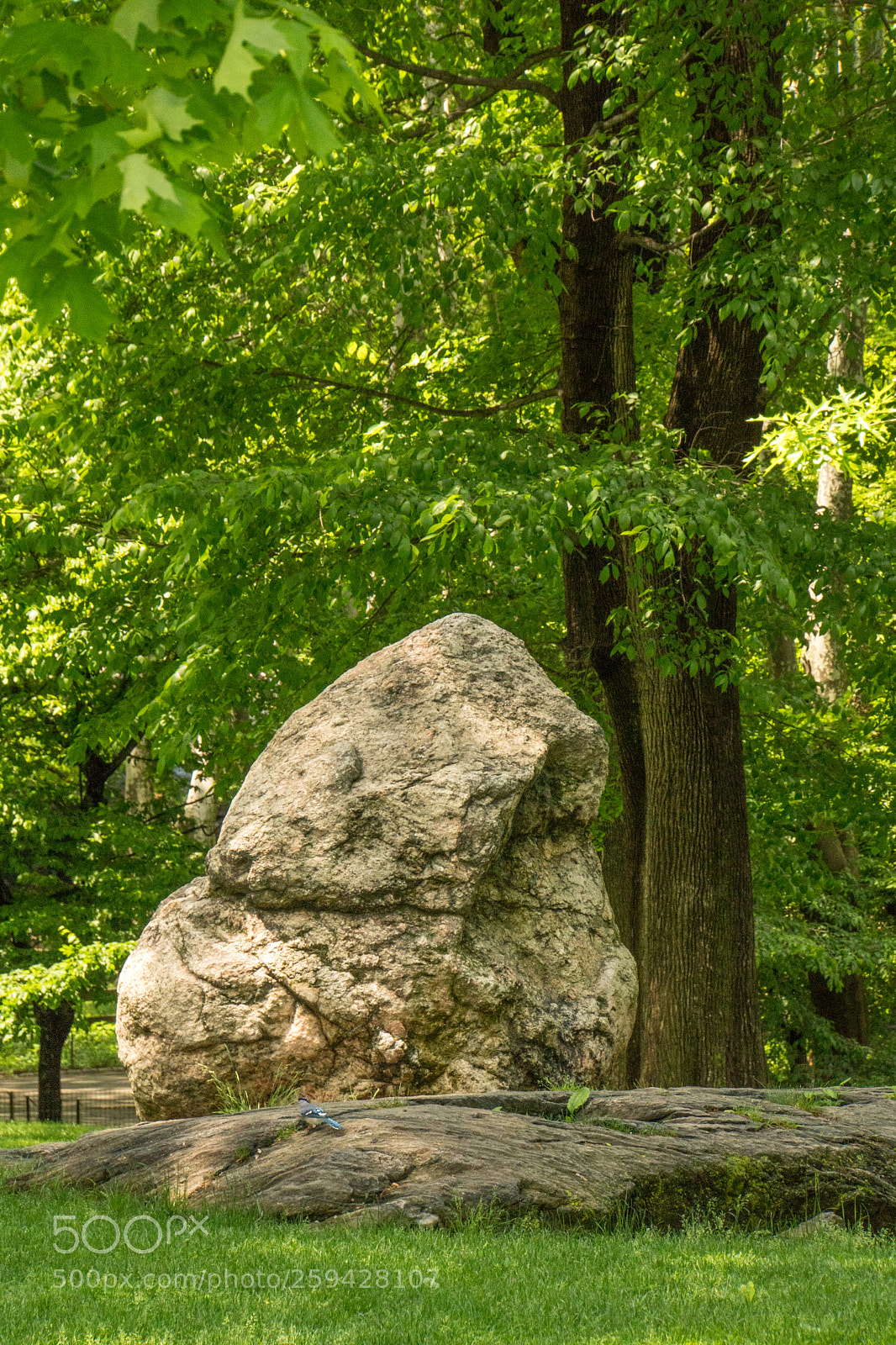 Sony a6500 sample photo. Central park, ny photography
