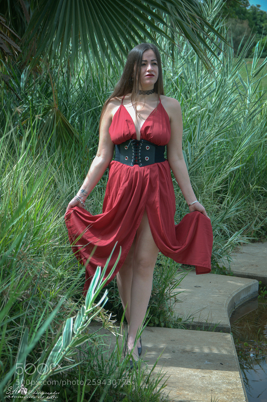 Nikon D300 sample photo. Morel photography