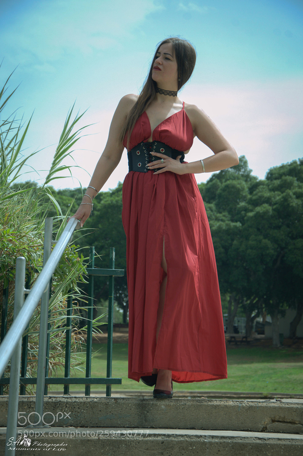 Nikon D300 sample photo. Morel photography