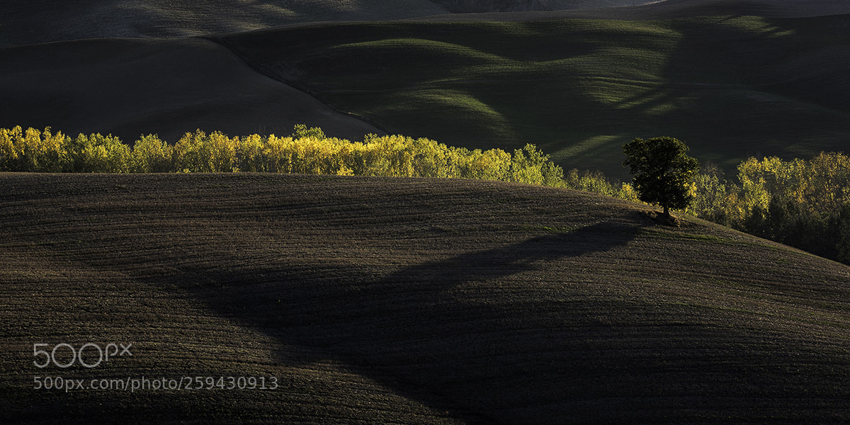 Nikon D810 sample photo. Val d'orcia 1 photography