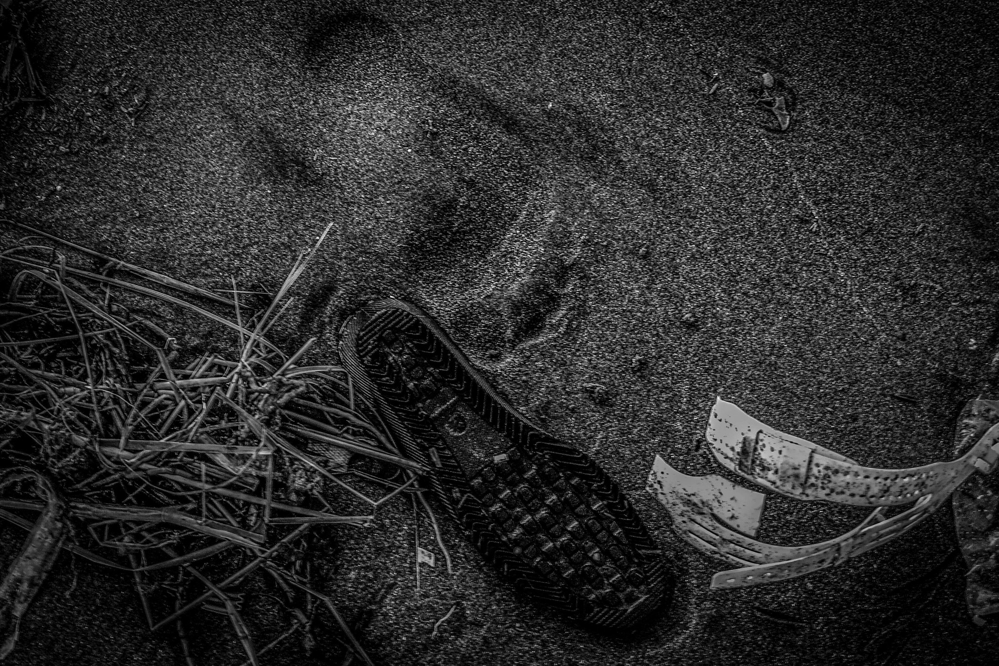 Sigma DP1 Merrill sample photo. Signs photography