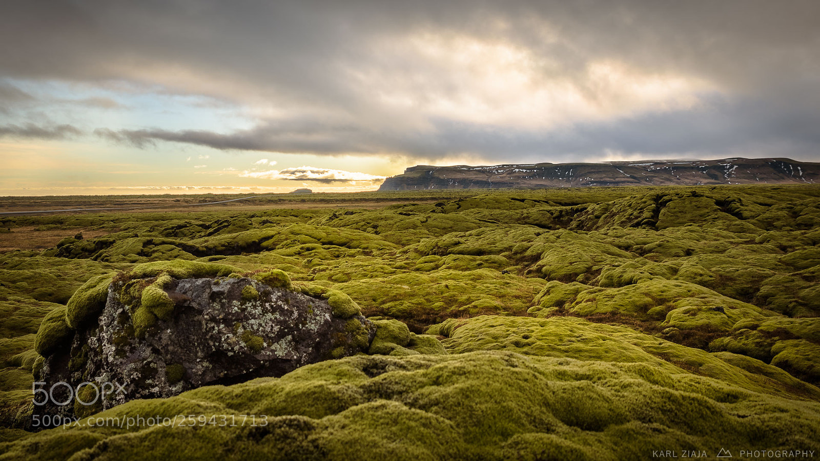 Nikon D750 sample photo. Iceland moss photography