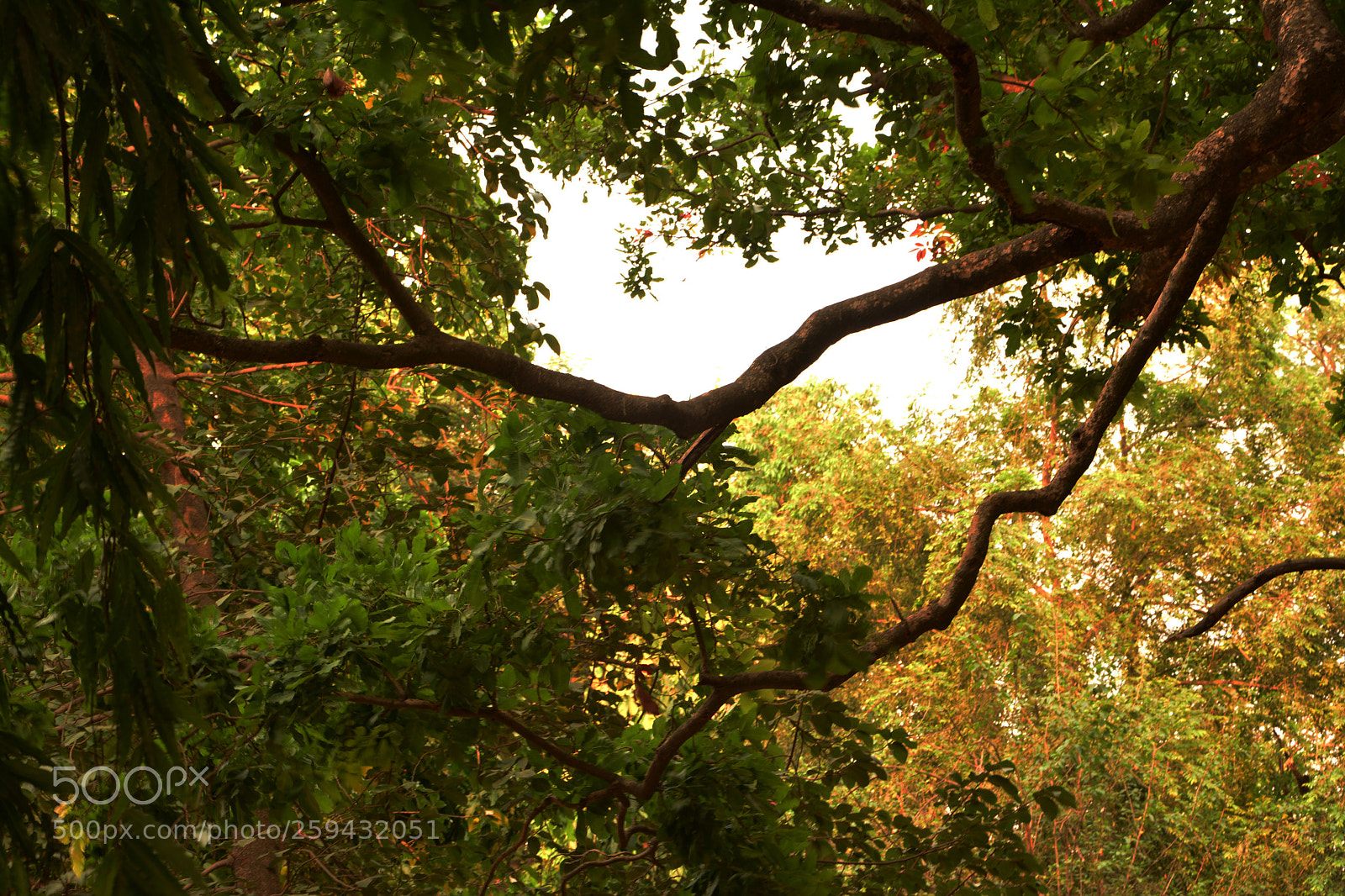 Nikon D7100 sample photo. Wildlife and nature photography