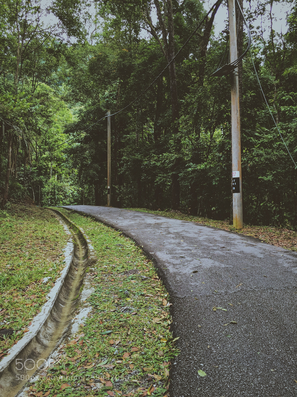 Apple iPhone 6 sample photo. Malaysia photography