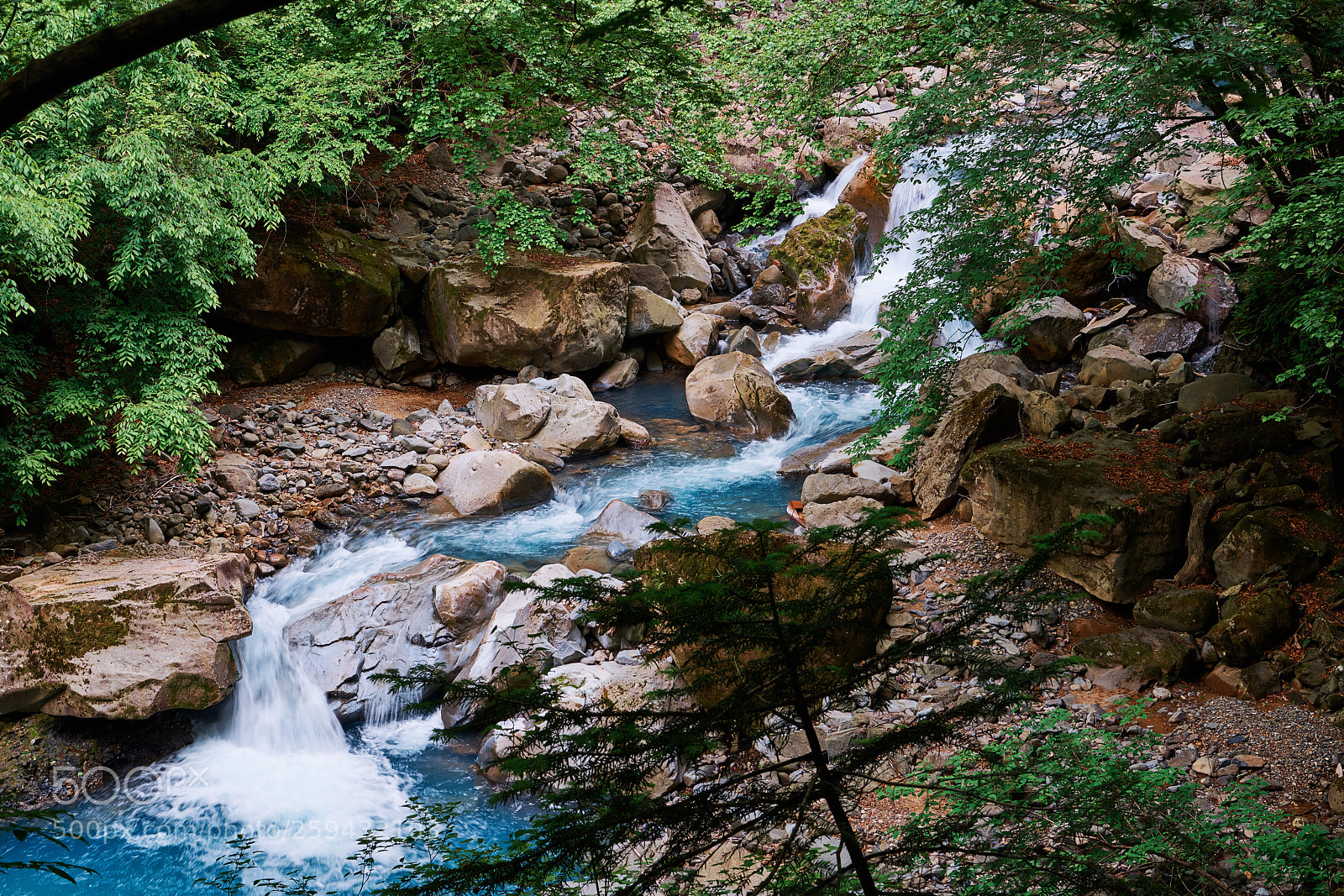 Nikon D850 sample photo. Clear stream photography