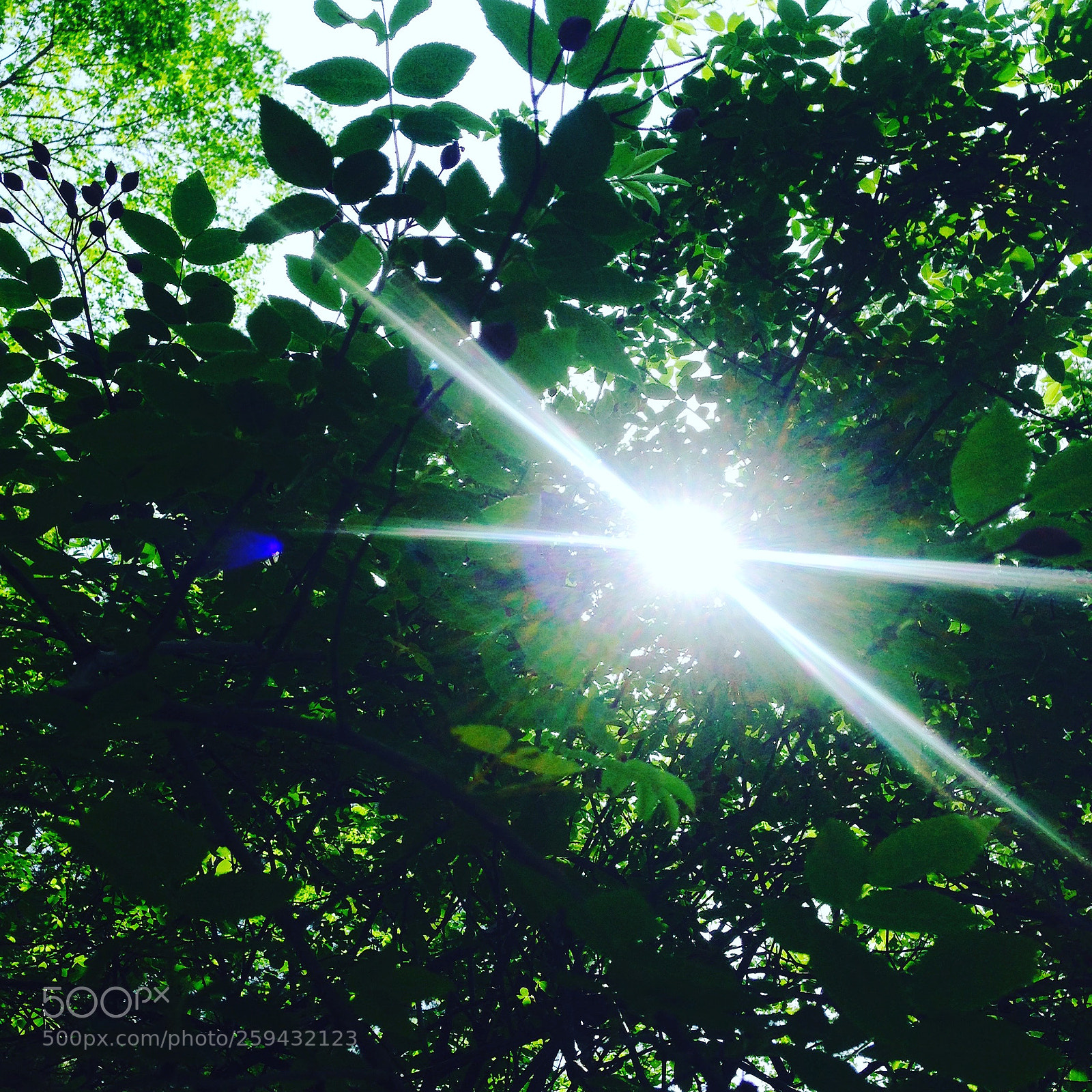 Apple iPhone 5 sample photo. Img photography