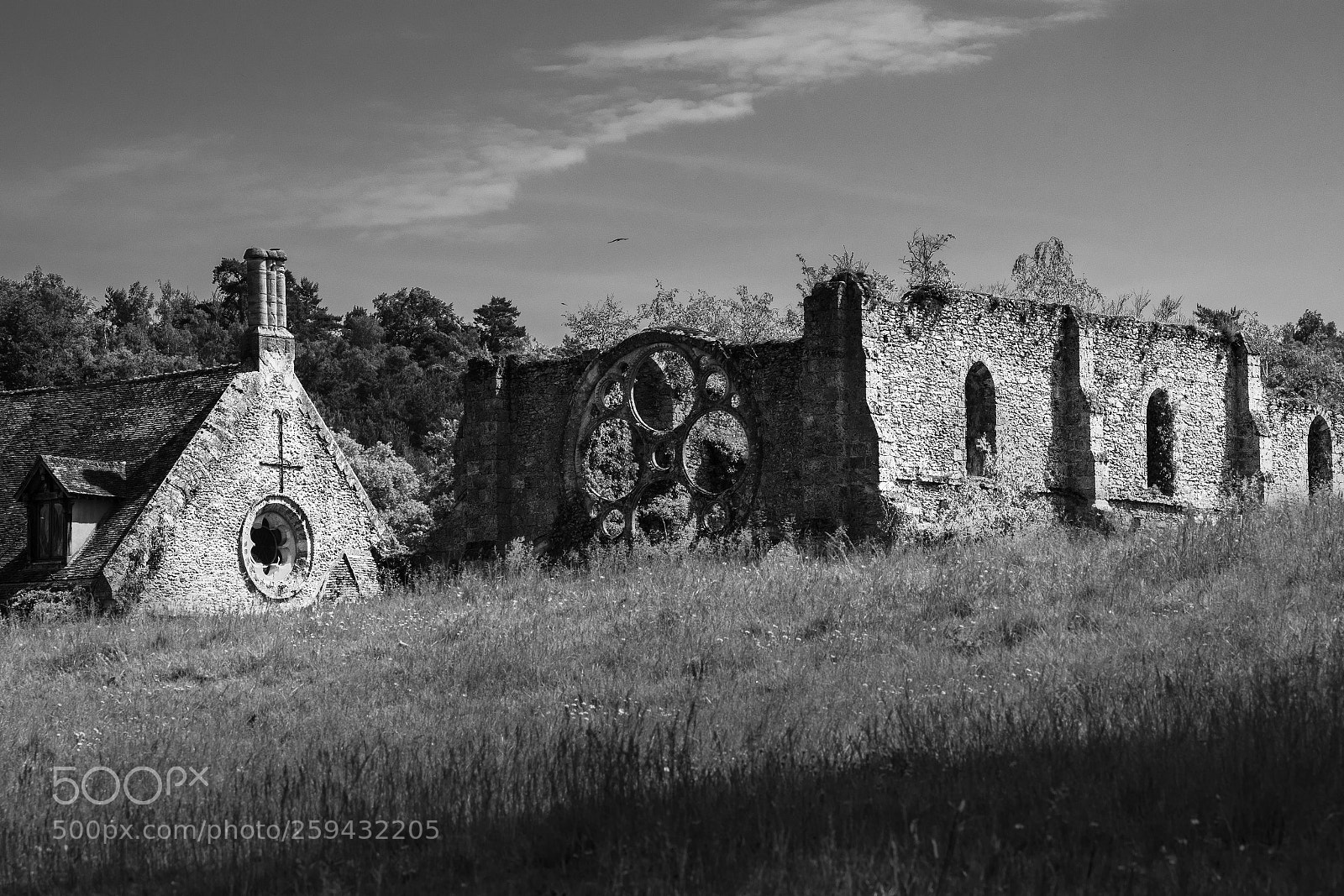 Nikon D500 sample photo. Abbaye enfouie! photography