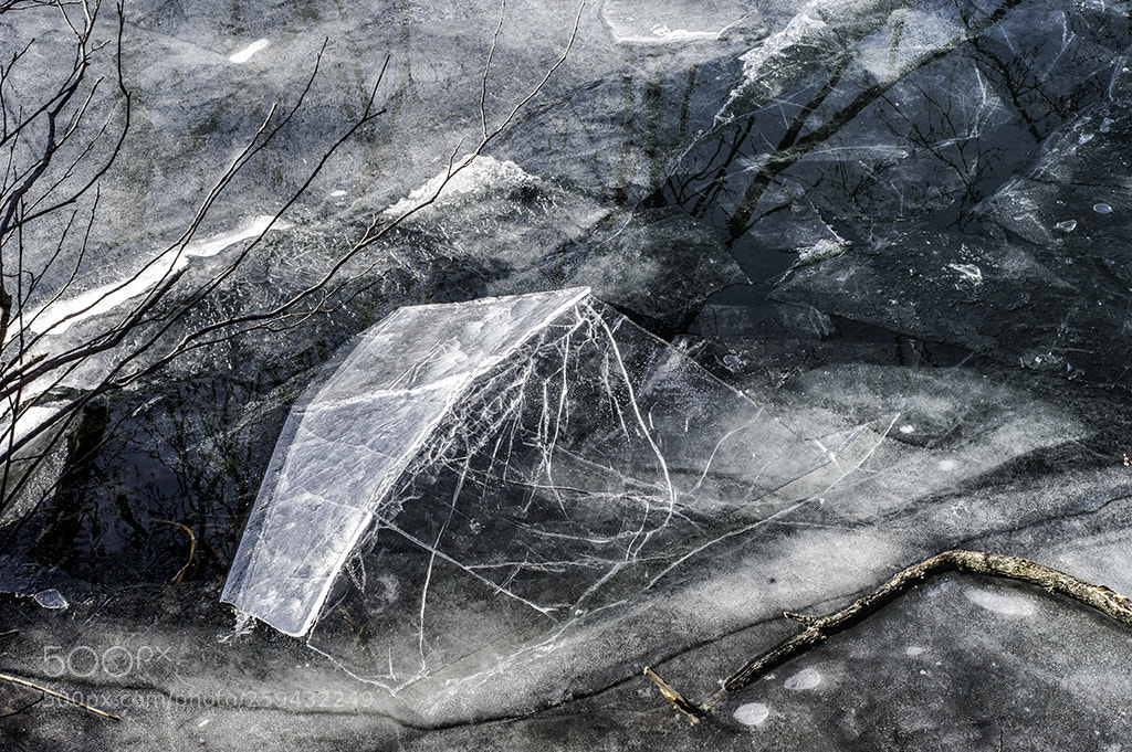 Nikon D700 sample photo. Cuspide photography