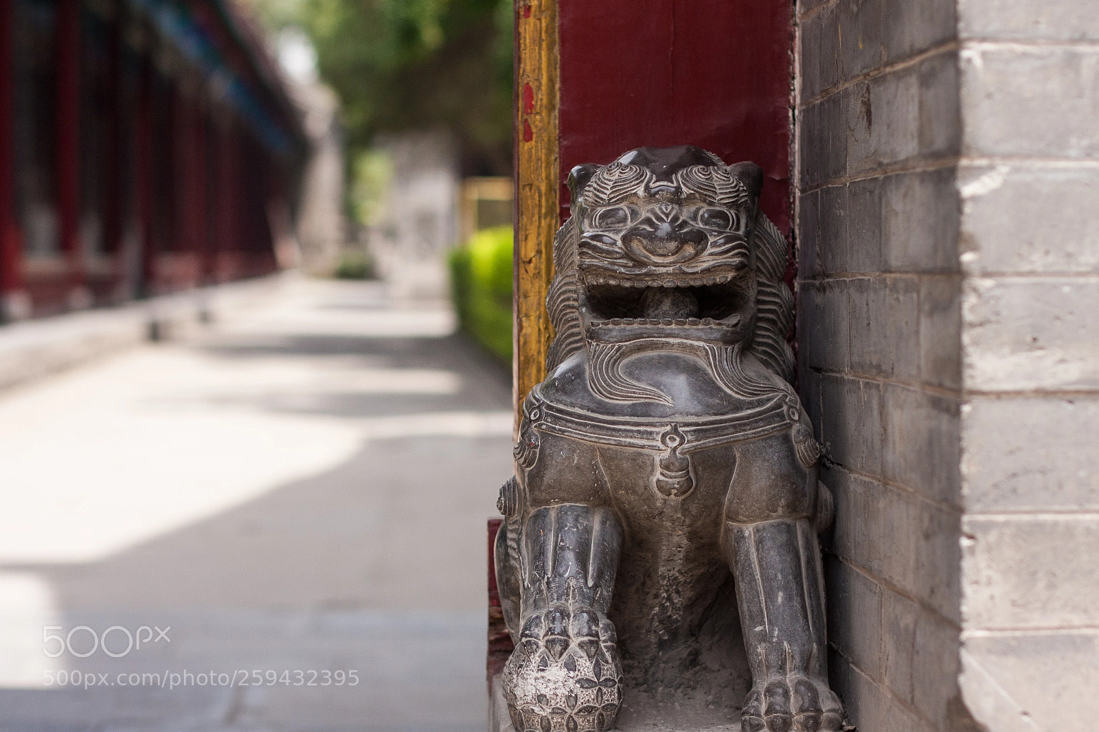 Canon EOS 40D sample photo. Guardian photography