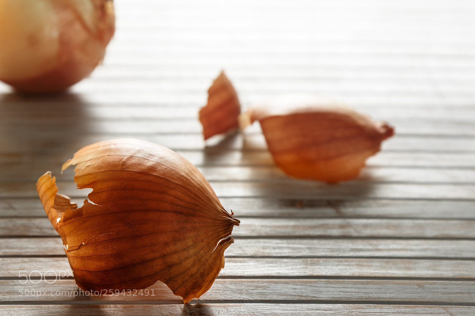Canon EOS 700D (EOS Rebel T5i / EOS Kiss X7i) sample photo. Onion skin backlighting. photography