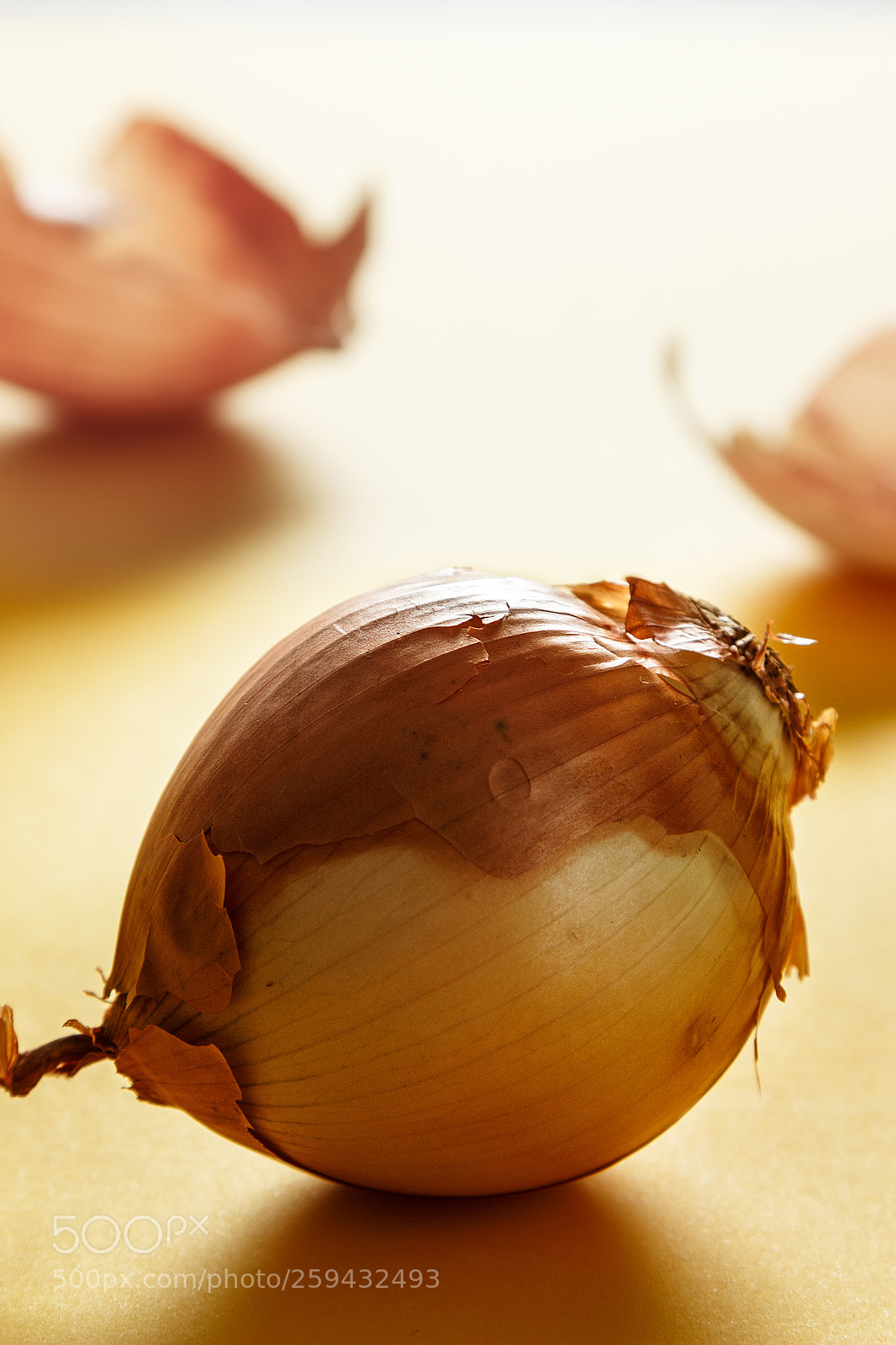 Canon EOS 700D (EOS Rebel T5i / EOS Kiss X7i) sample photo. Onion close up. healthy photography