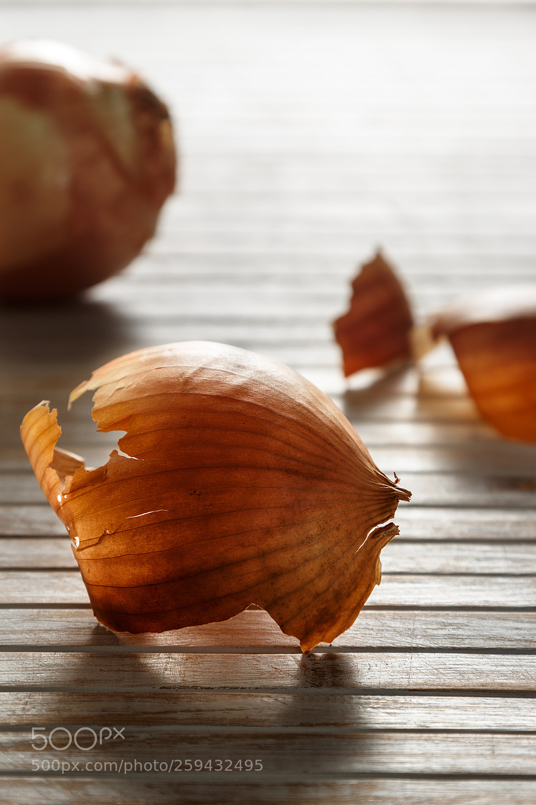 Canon EOS 700D (EOS Rebel T5i / EOS Kiss X7i) sample photo. Onion skin backlighting. photography
