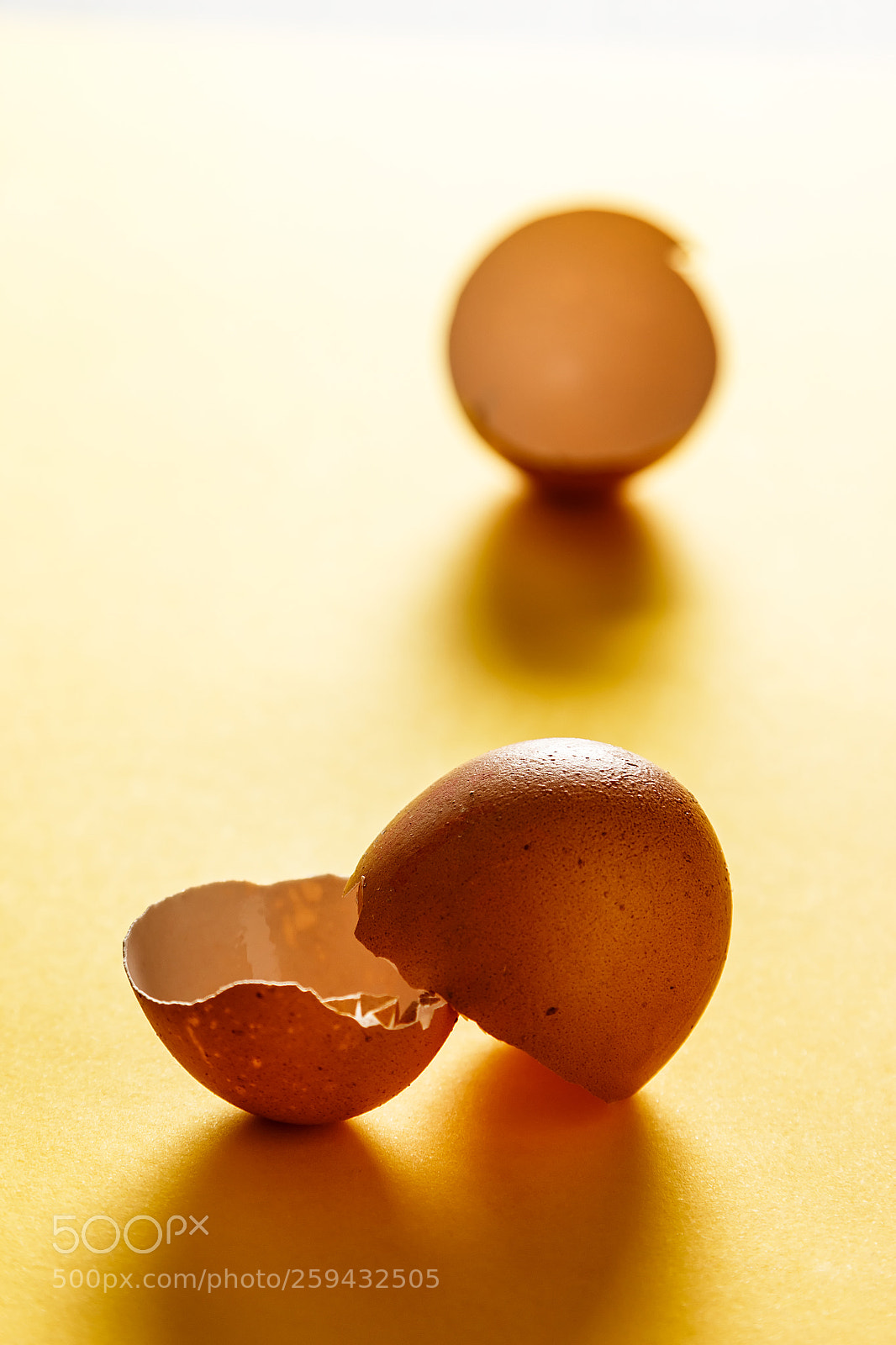 Canon EOS 700D (EOS Rebel T5i / EOS Kiss X7i) sample photo. Backlighting eggshells on yellow photography