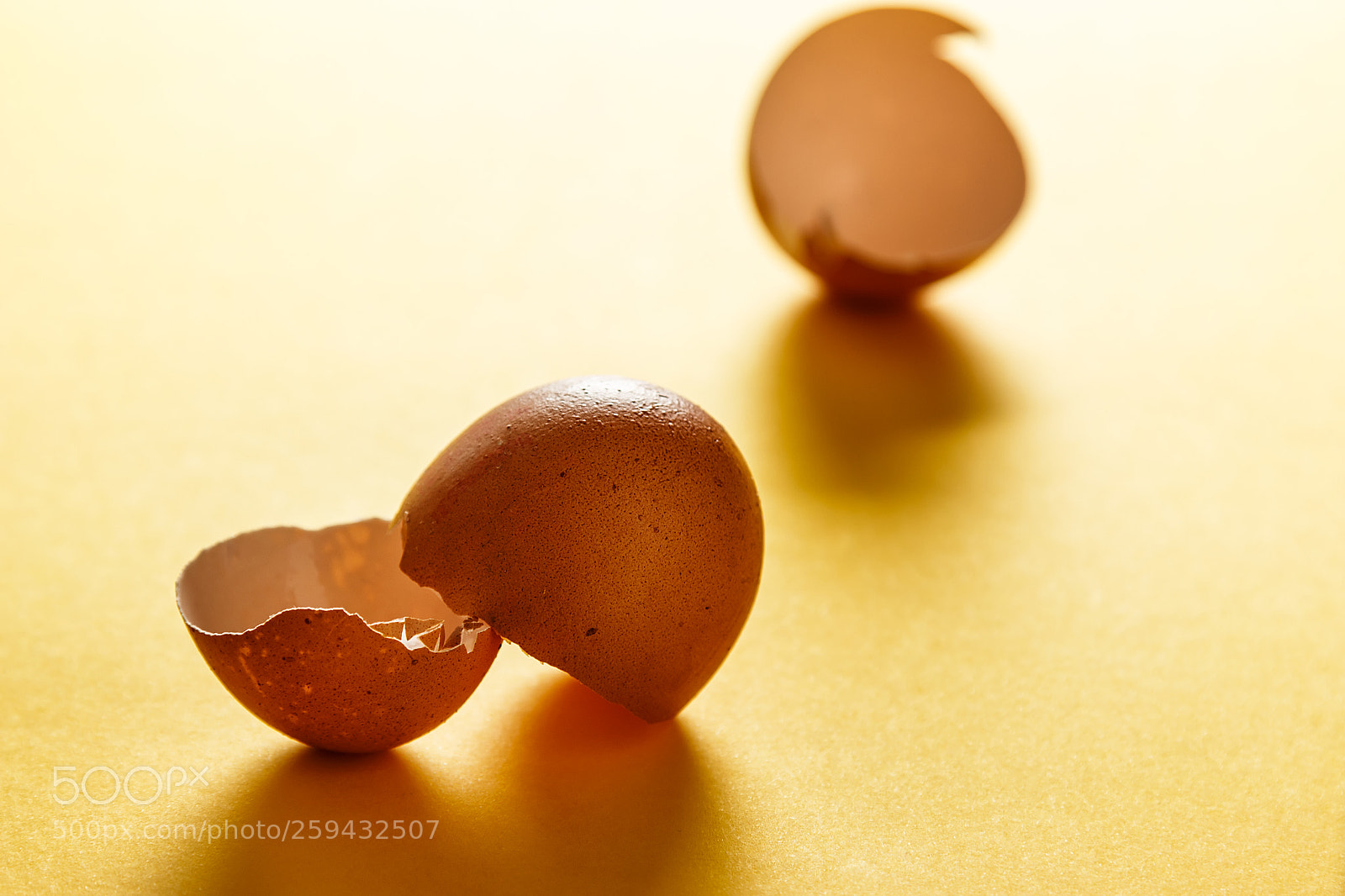 Canon EOS 700D (EOS Rebel T5i / EOS Kiss X7i) sample photo. Backlighting eggshells on yellow photography