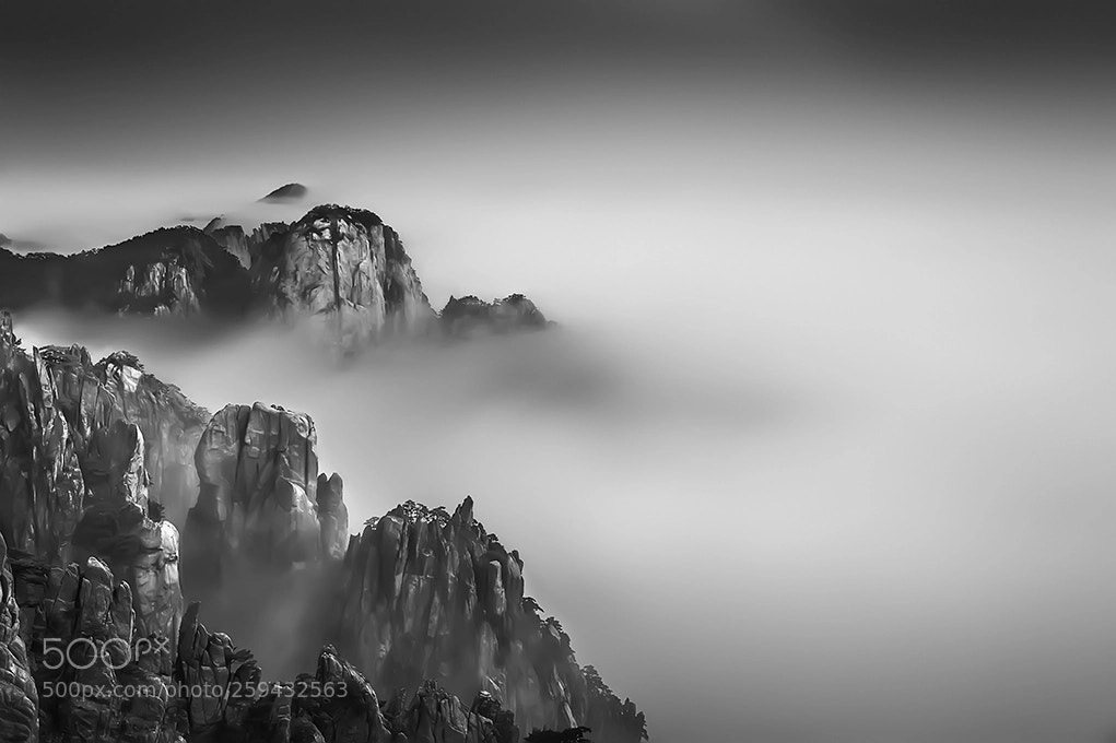 Nikon D700 sample photo. Mount huangshan cloud sea photography