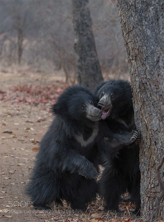 Nikon D7500 sample photo. Tender love photography