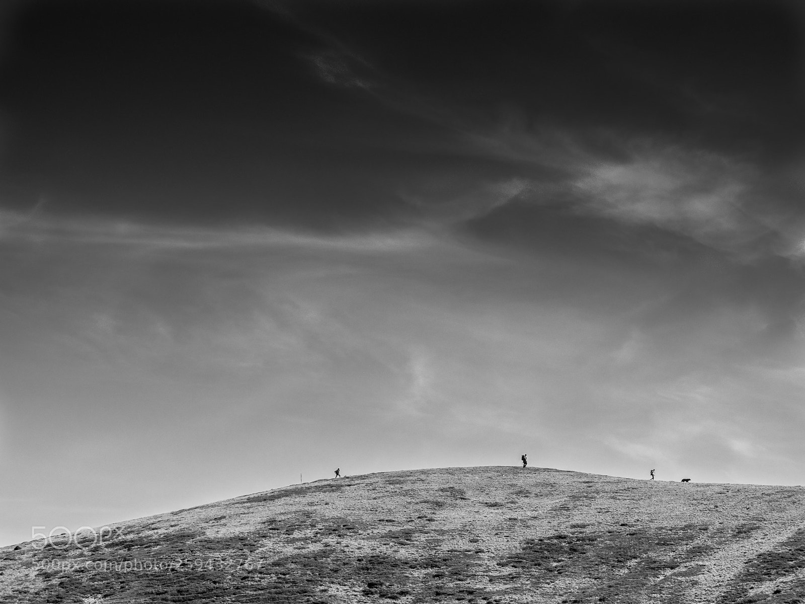 Olympus OM-D E-M10 II sample photo. 3 hikers and a dog photography