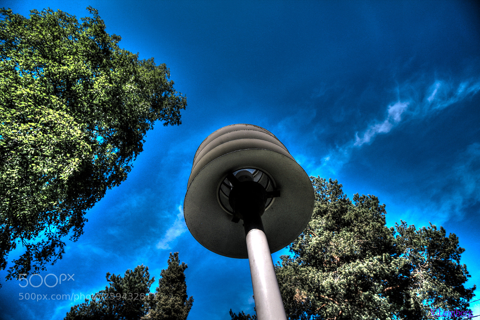 Canon EOS 550D (EOS Rebel T2i / EOS Kiss X4) sample photo. Lamp & trees & sky photography