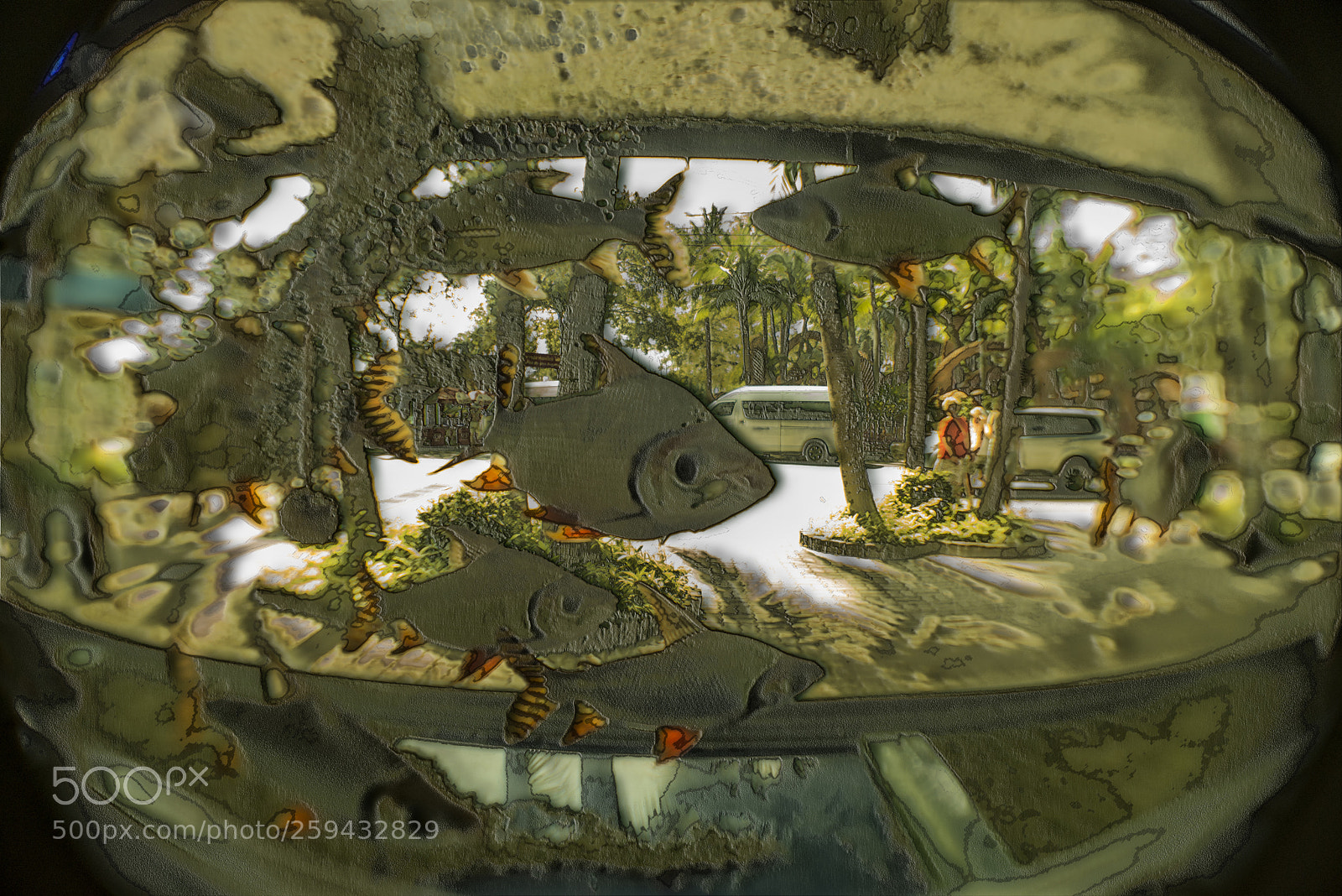 Nikon D600 sample photo. Fish bowl street 4 photography