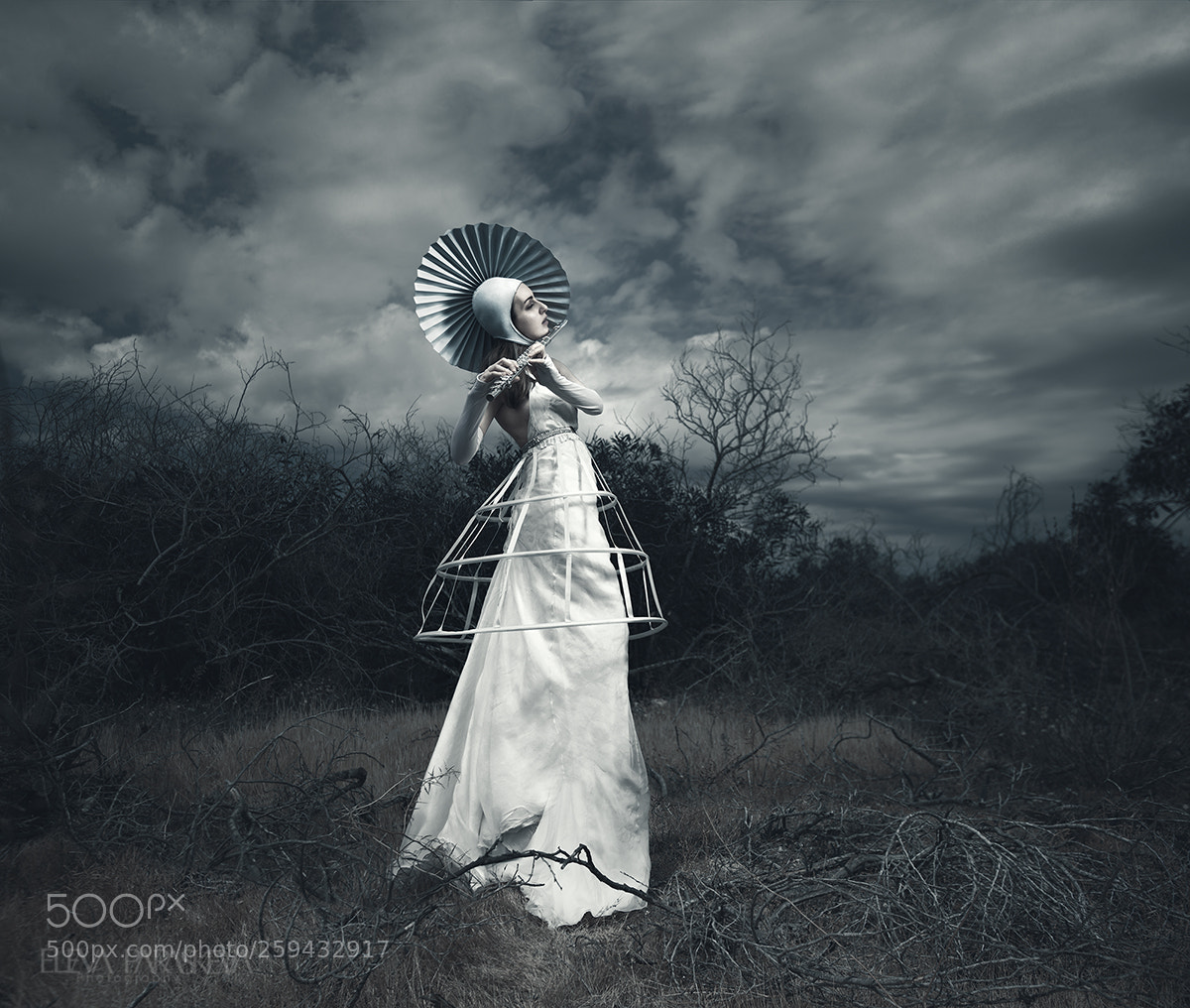 Nikon D810 sample photo. Song of the flute photography