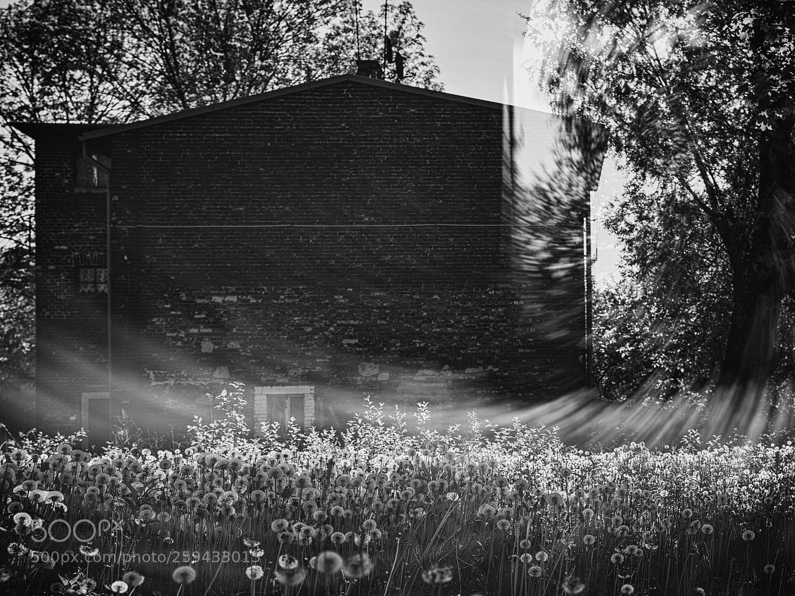 Nikon D610 sample photo. Fleeting moments photography
