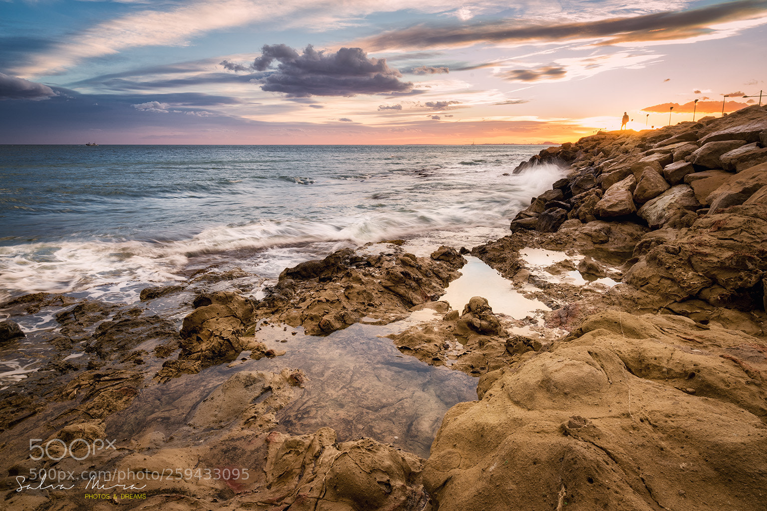 Sony a7 II sample photo. L'espig del moll de photography
