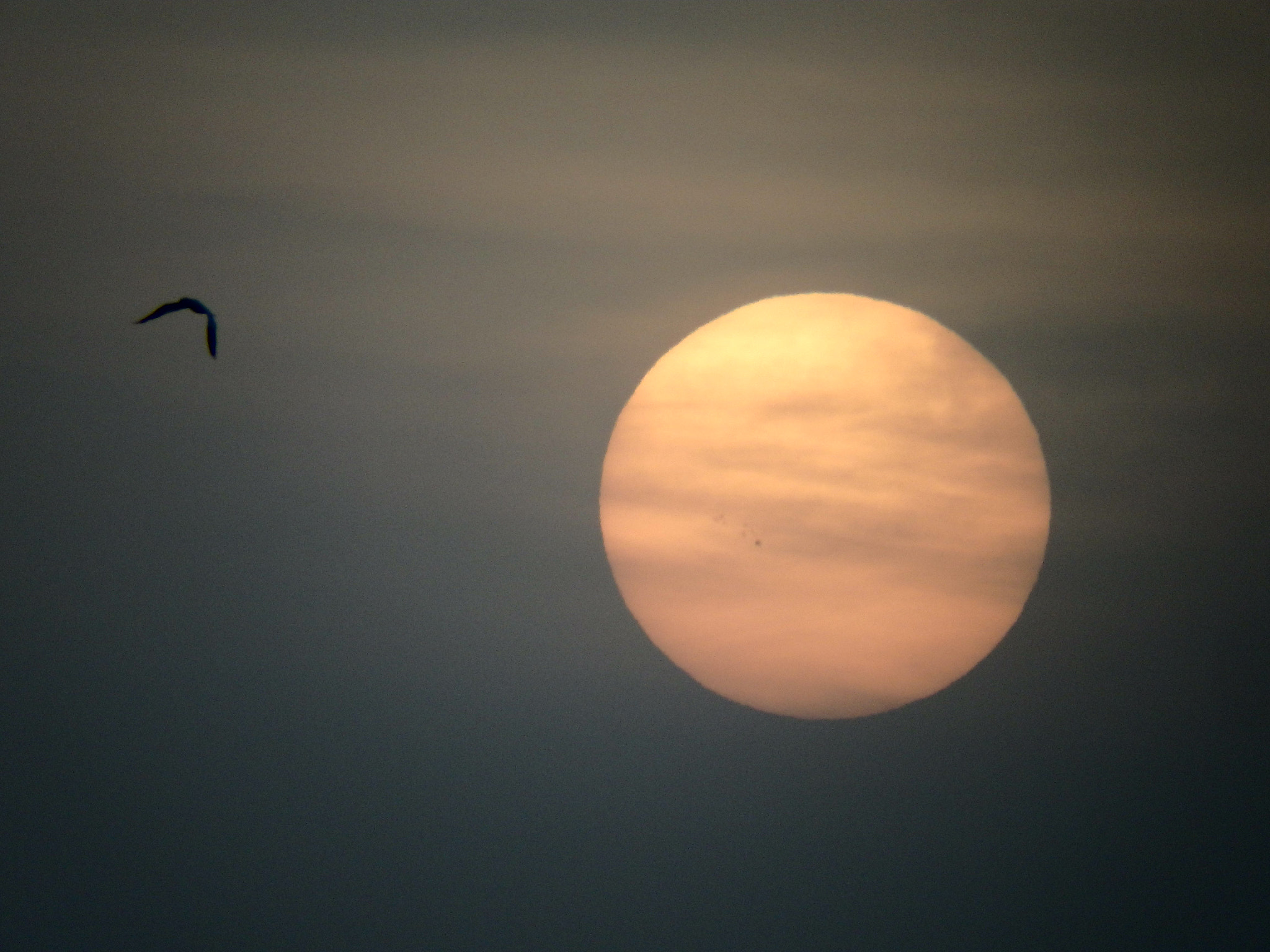 Olympus SP-100EE sample photo. Sundown!! photography