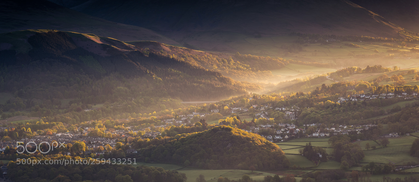 Nikon D750 sample photo. Golden morning light on photography