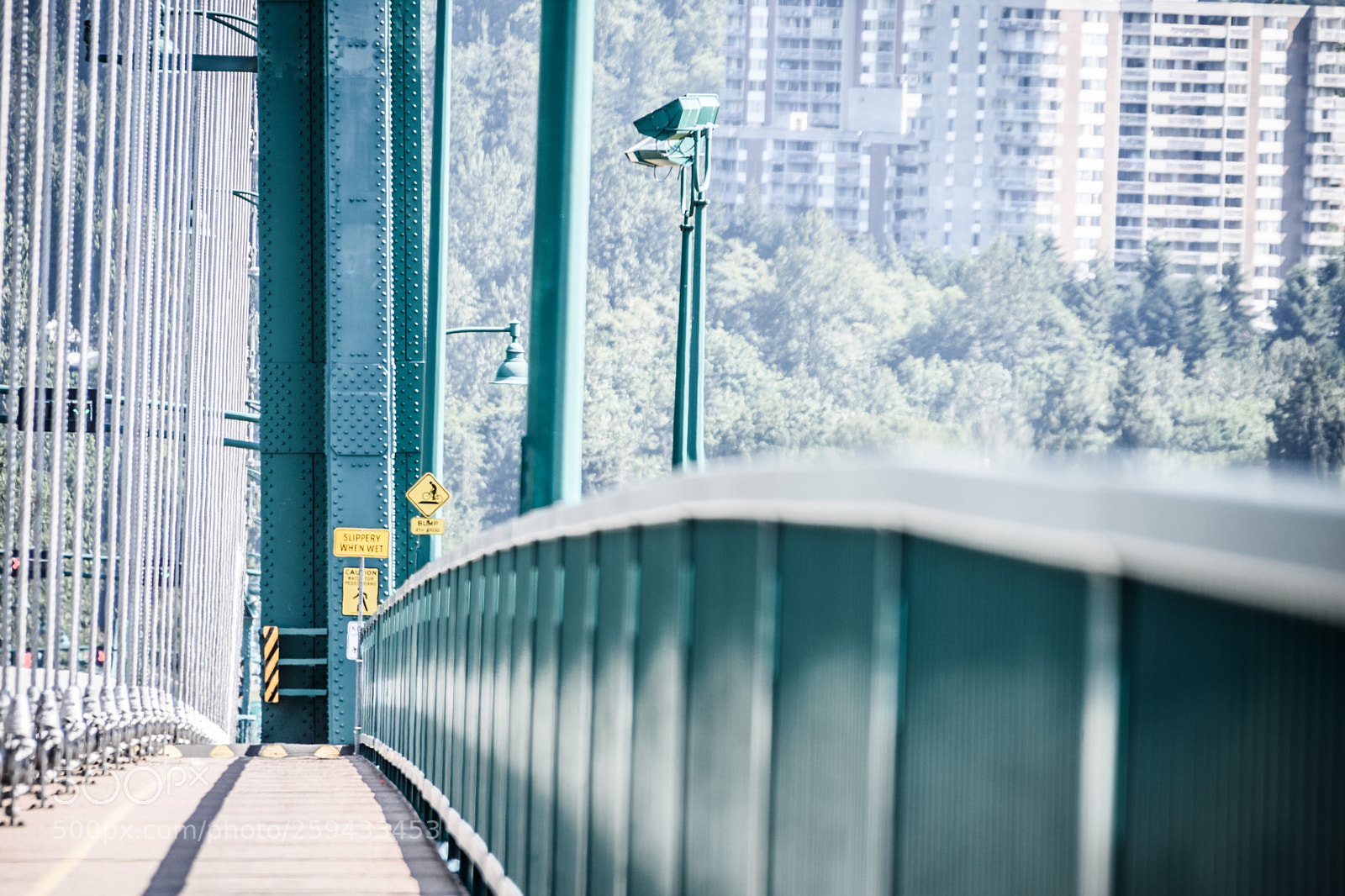 Nikon D7200 sample photo. Lions gate bridge photography